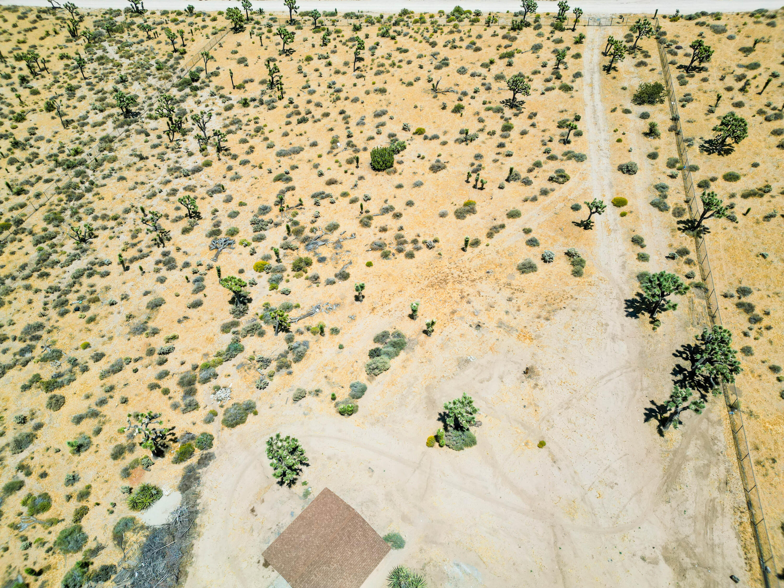 5260 Roberts Road Yucca Valley, CA 92284 - Photo 8 of 61 DJI_0085