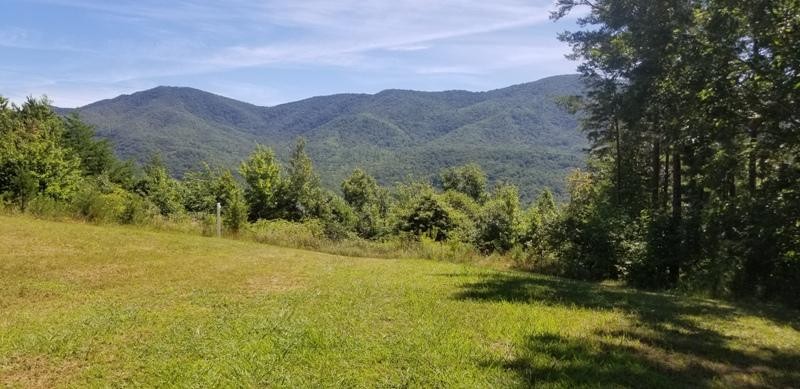 435 Smithfield Road Tellico Plains, TN 37385 - Photo 2 of 13 Gallery Image 2
