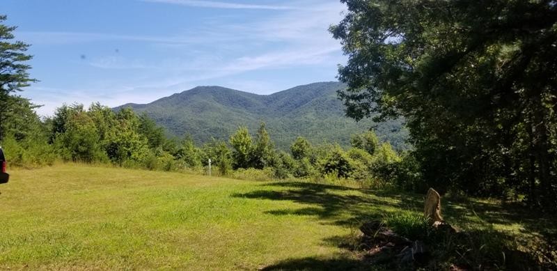 435 Smithfield Road Tellico Plains, TN 37385 - Photo 4 of 13 Gallery Image 4
