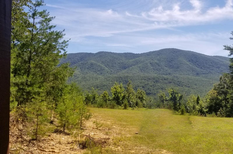 435 Smithfield Road Tellico Plains, TN 37385 - Photo 6 of 13 Gallery Image 6