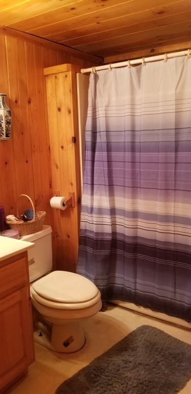435 Smithfield Road Tellico Plains, TN 37385 - Photo 7 of 13 Gallery Image 7