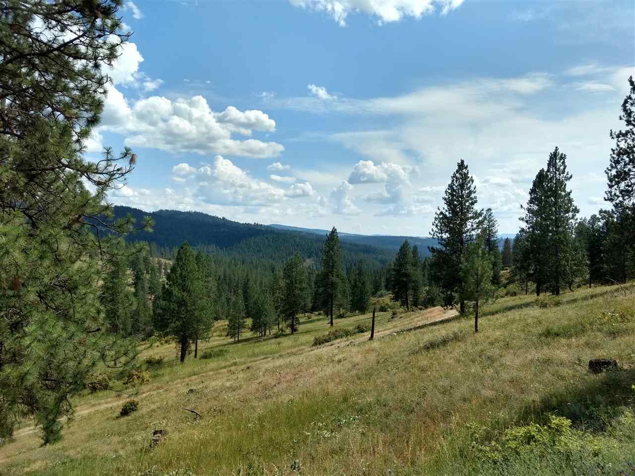 20315 North Holcomb Road Mead, WA 99021 - Photo 1 of 8
