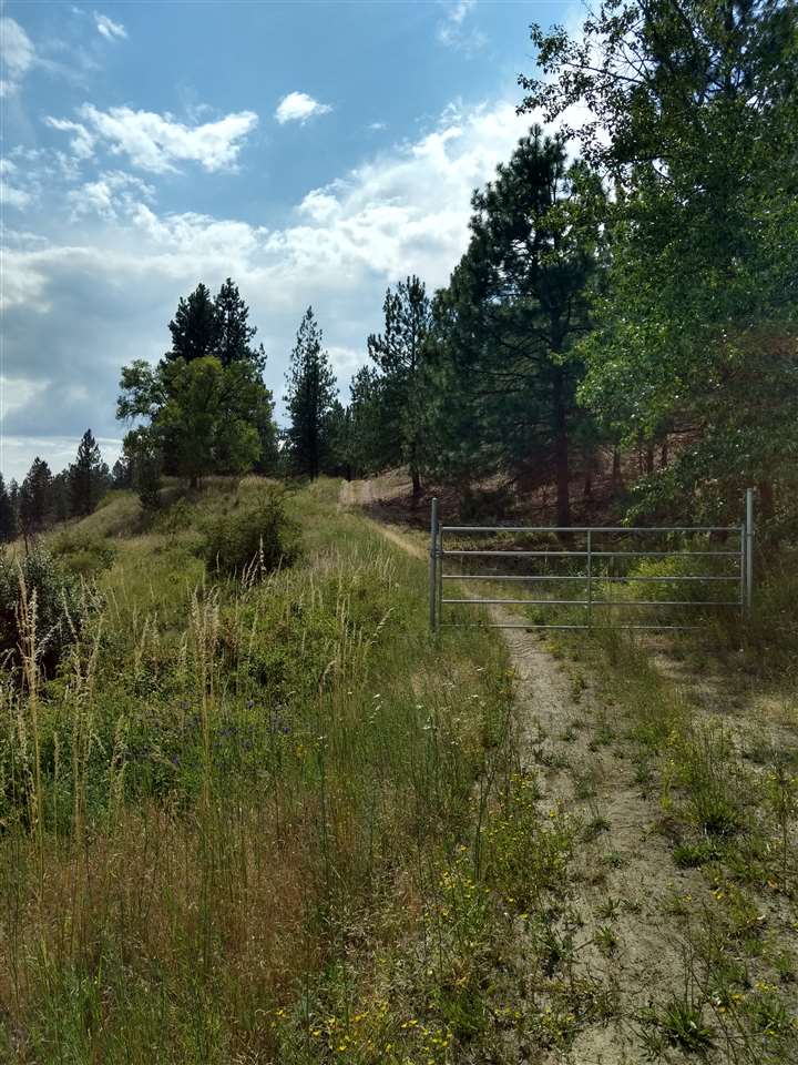 20315 North Holcomb Road Mead, WA 99021 - Photo 2 of 8