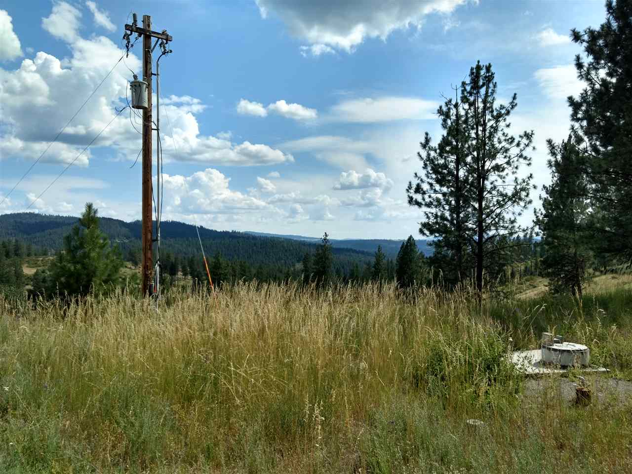 20315 North Holcomb Road Mead, WA 99021 - Photo 3 of 8