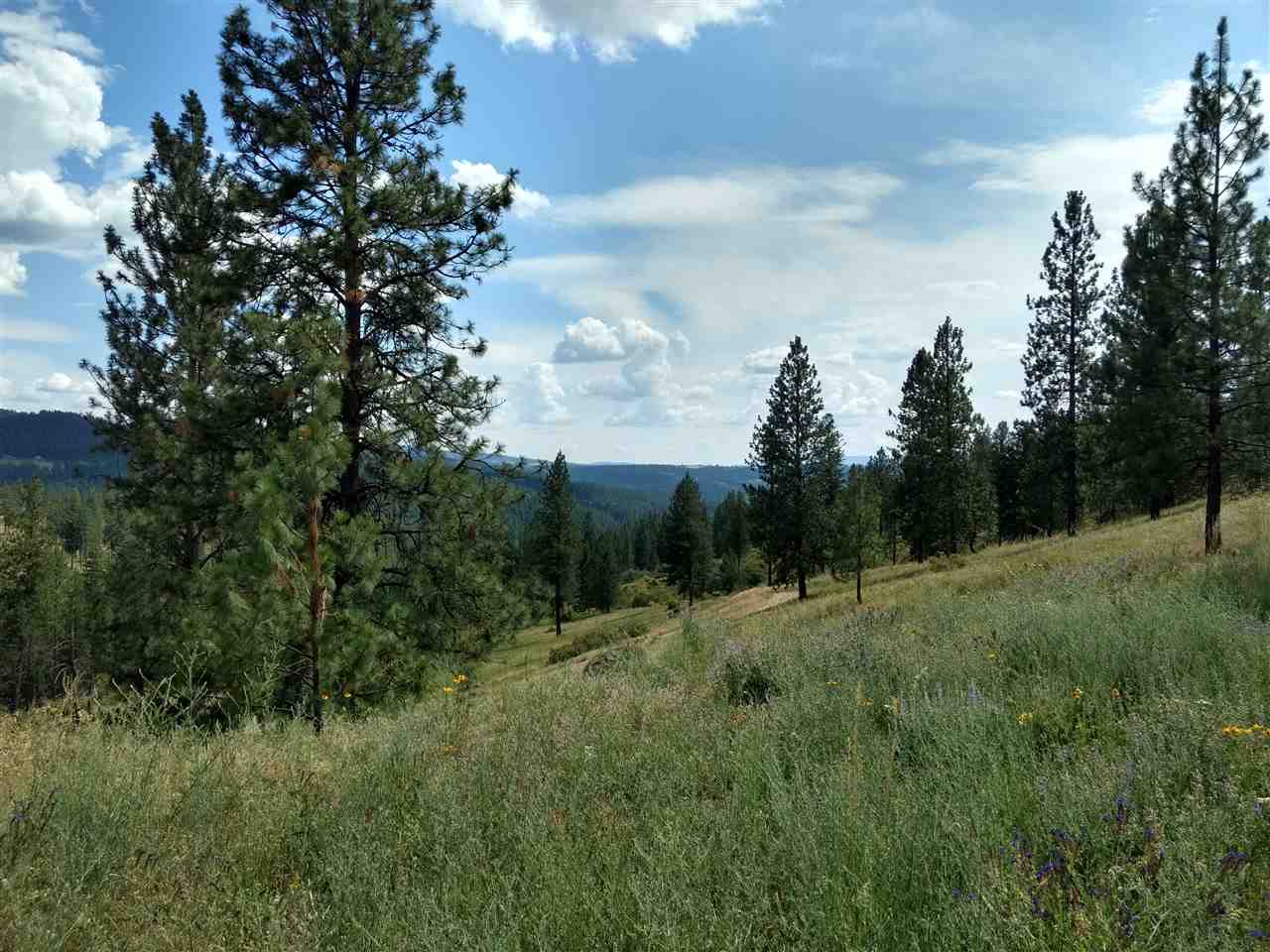 20315 North Holcomb Road Mead, WA 99021 - Photo 5 of 8