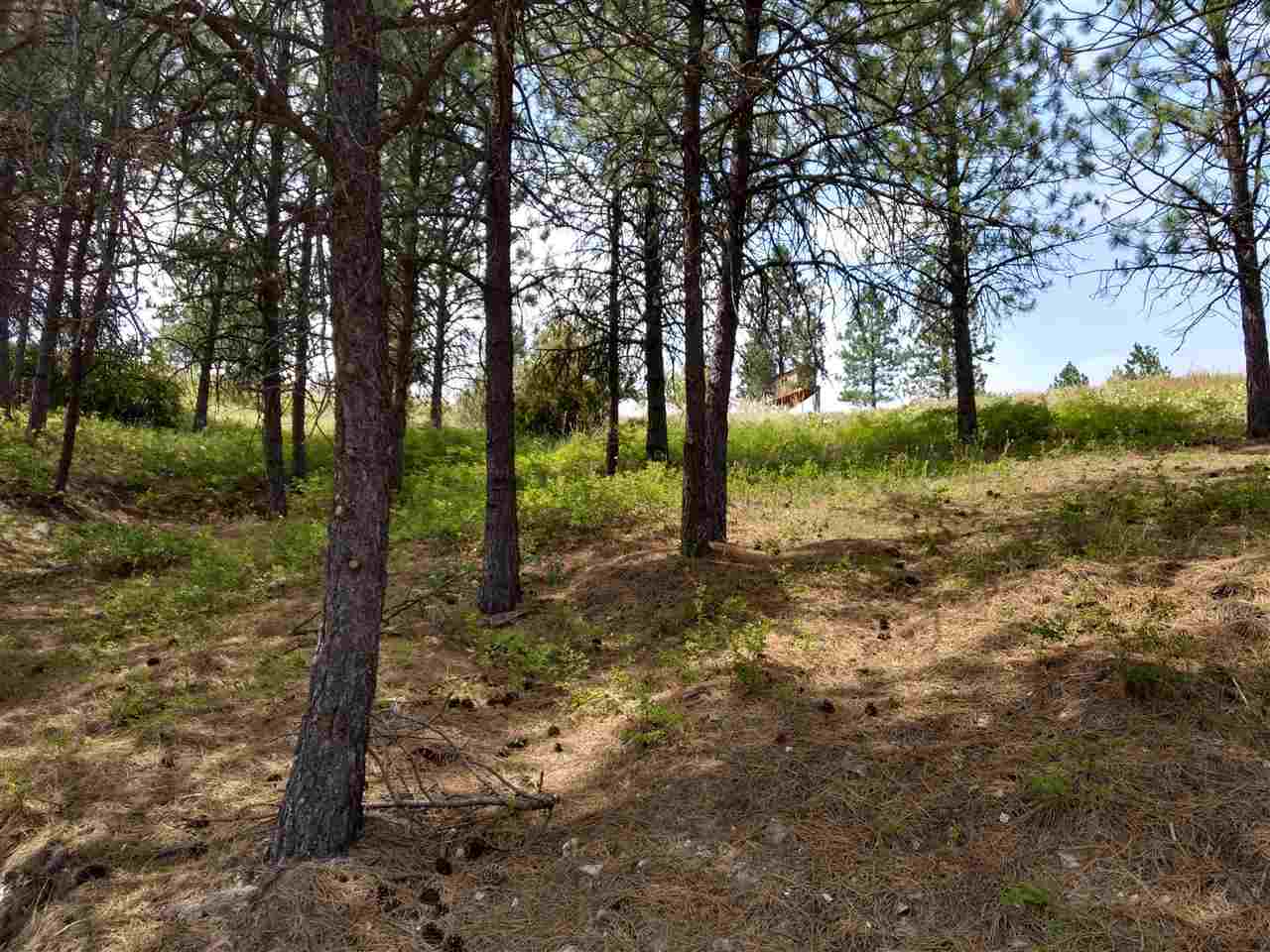 20315 North Holcomb Road Mead, WA 99021 - Photo 6 of 8