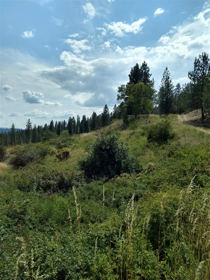 20315 North Holcomb Road Mead, WA 99021 - Photo 8 of 8