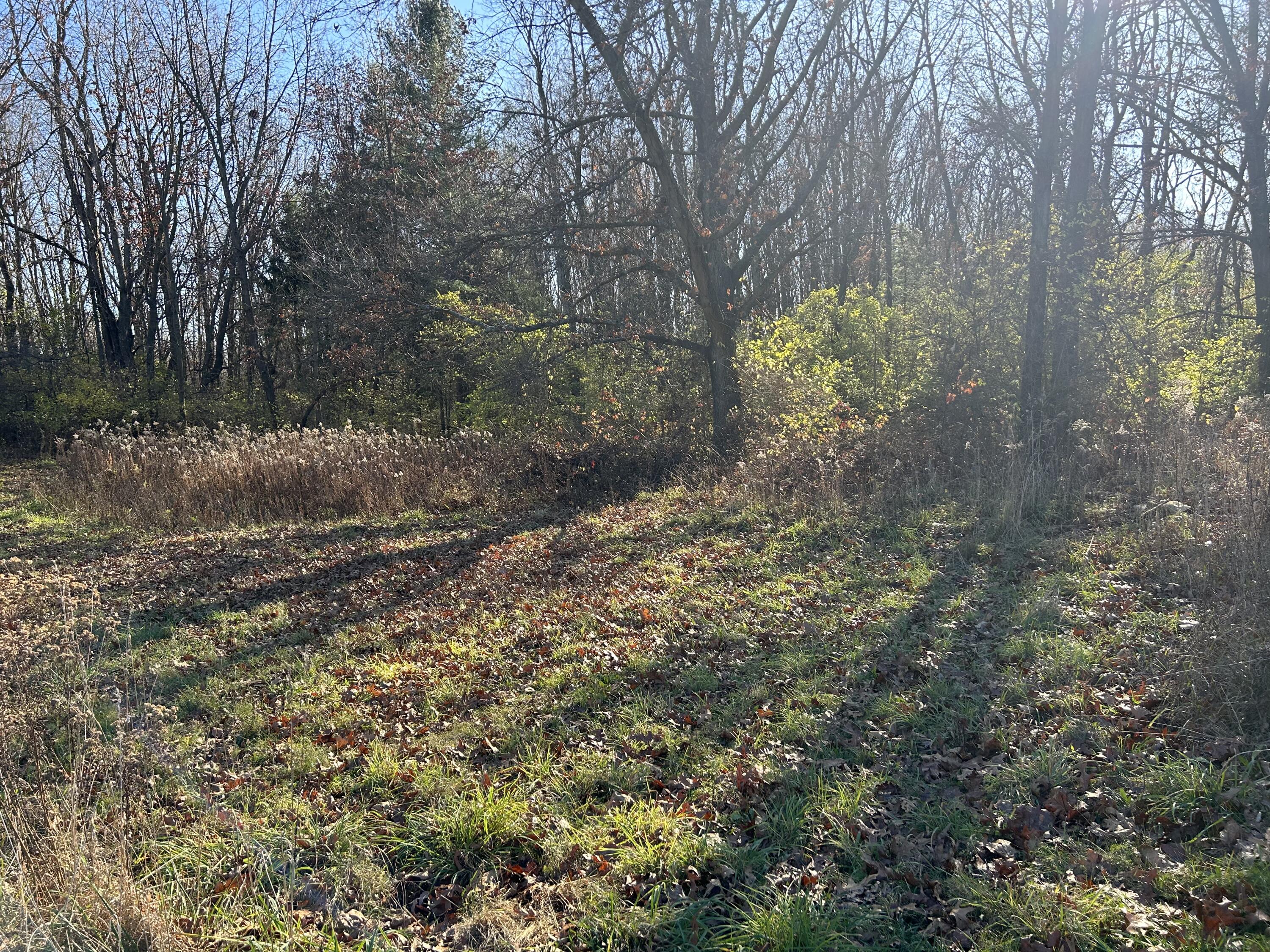 0 McCain Road Spring Arbor, MI 49283 - Photo 1 of 14 969FEAC5-D64B-4700-8328-64E1C878802B