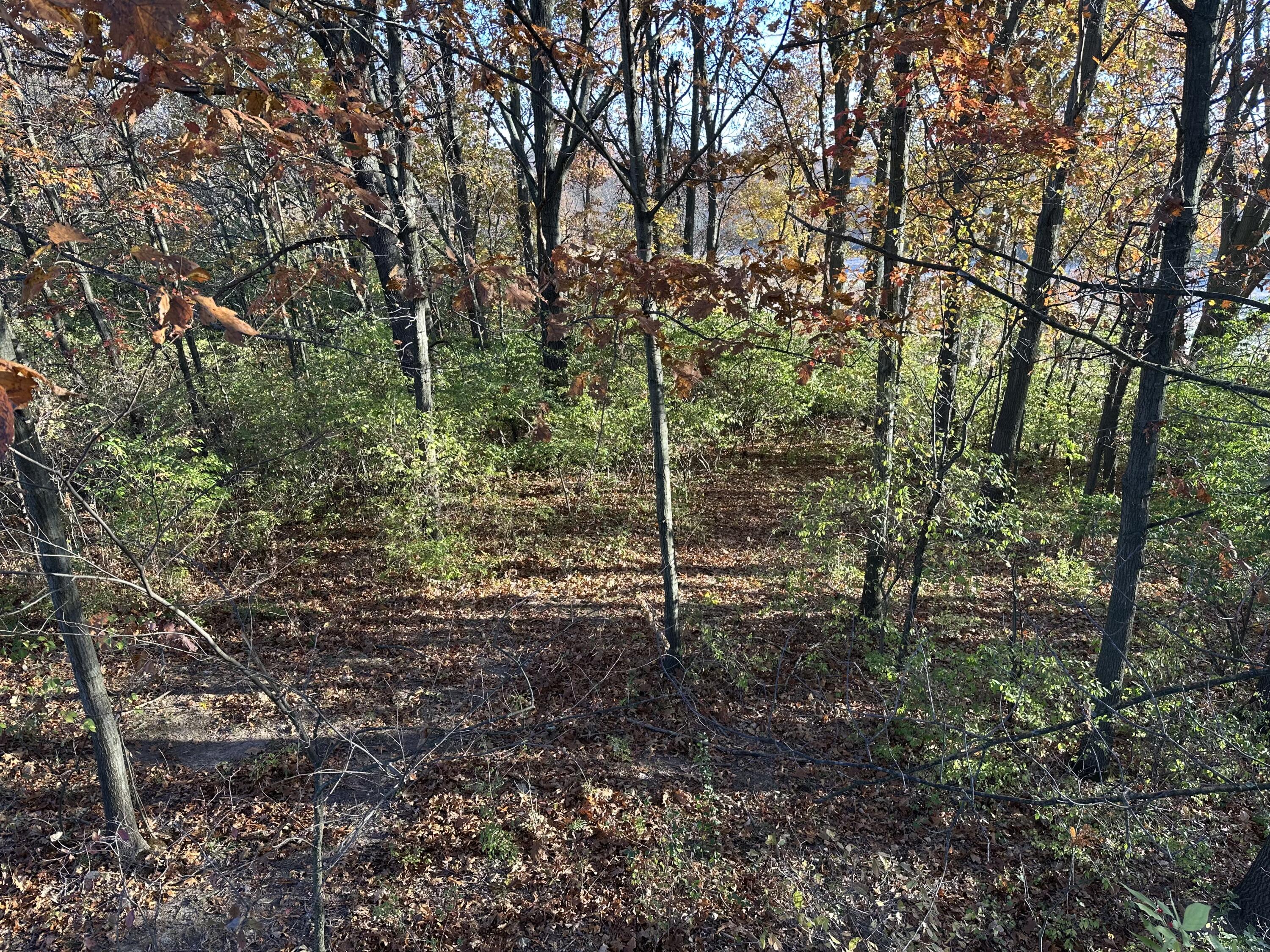 0 McCain Road Spring Arbor, MI 49283 - Photo 11 of 14 37FDA025-CA25-4A68-9D3D-2B225E04123D