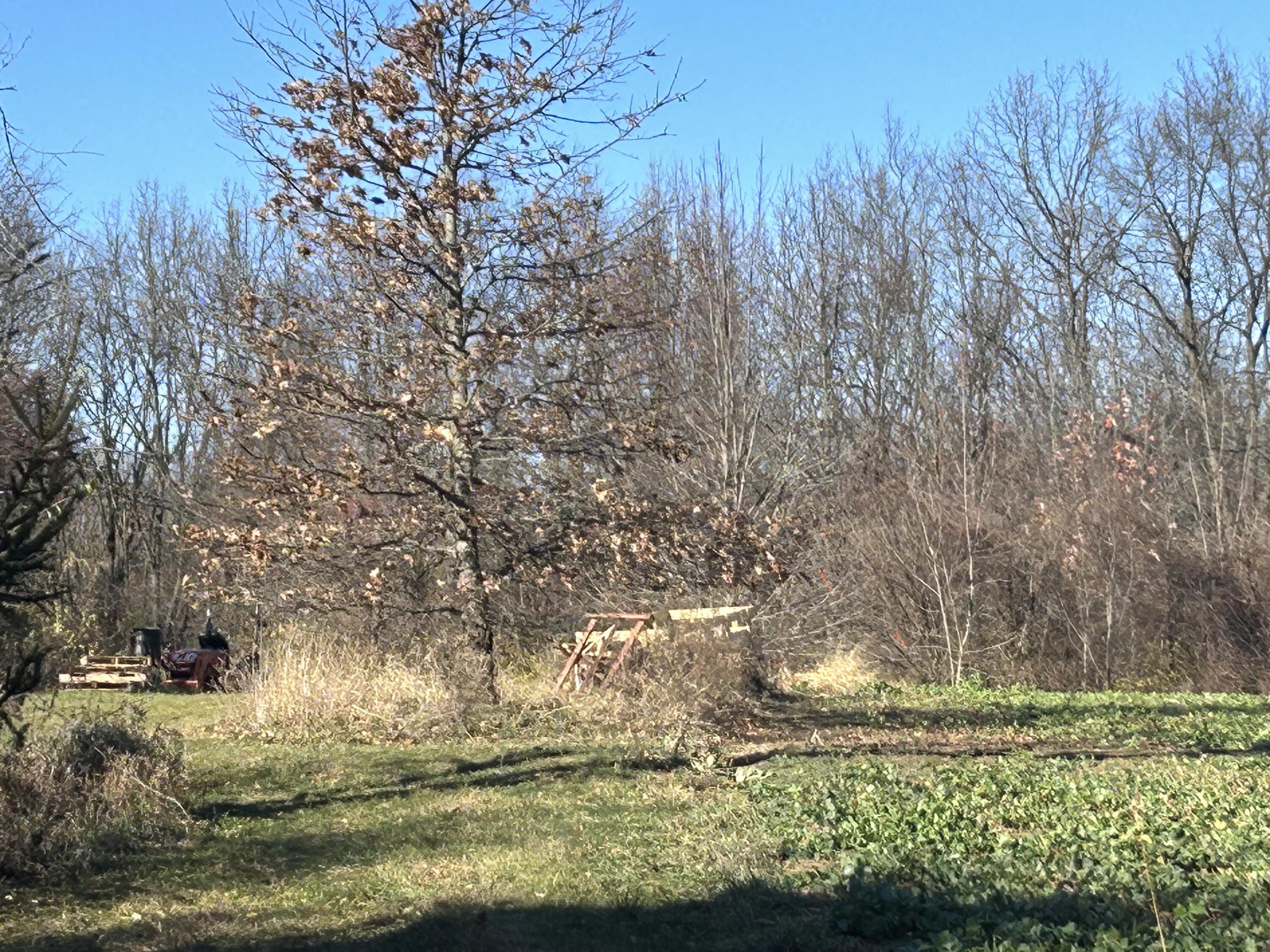 0 McCain Road Spring Arbor, MI 49283 - Photo 3 of 14 40B9FEDD-BE2A-4B7A-9628-2AB209DBB9DF