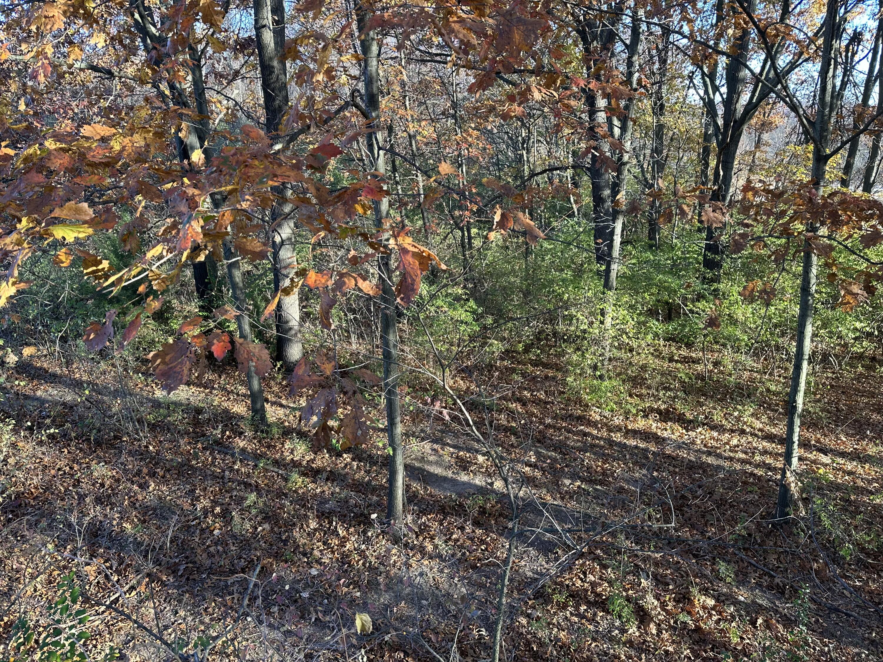 0 McCain Road Spring Arbor, MI 49283 - Photo 9 of 14 287D989F-BE3B-44B6-A978-671DFDF343EB