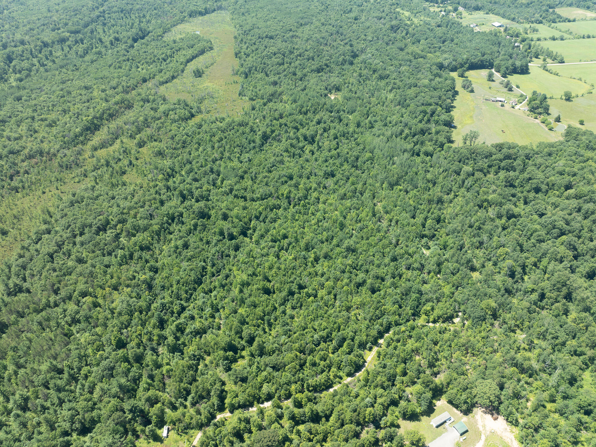 DJI_0656