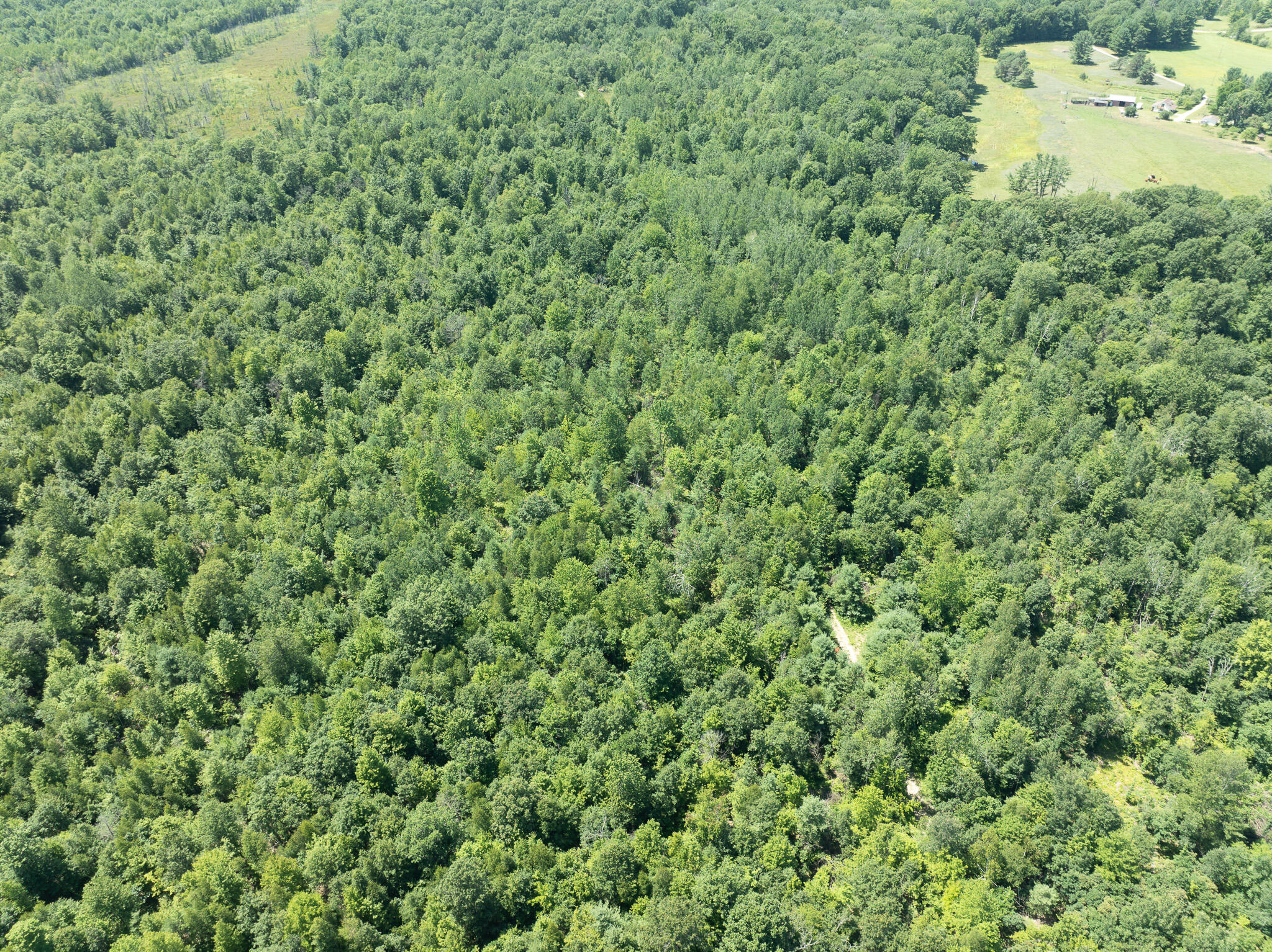 DJI_0657