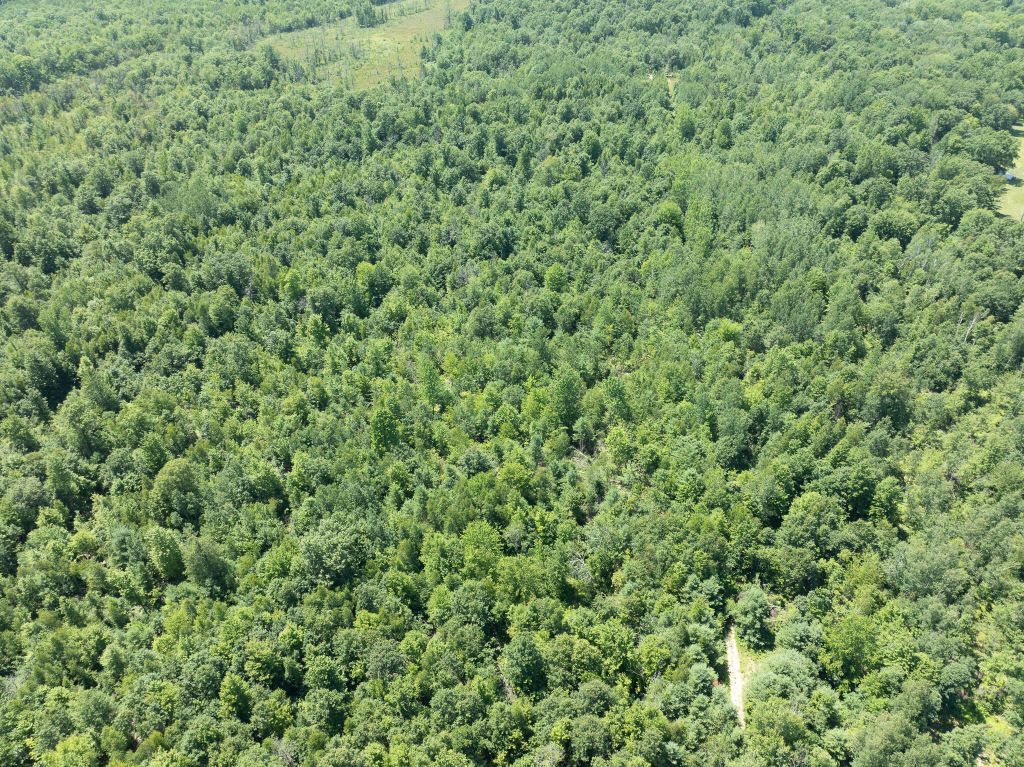 DJI_0658