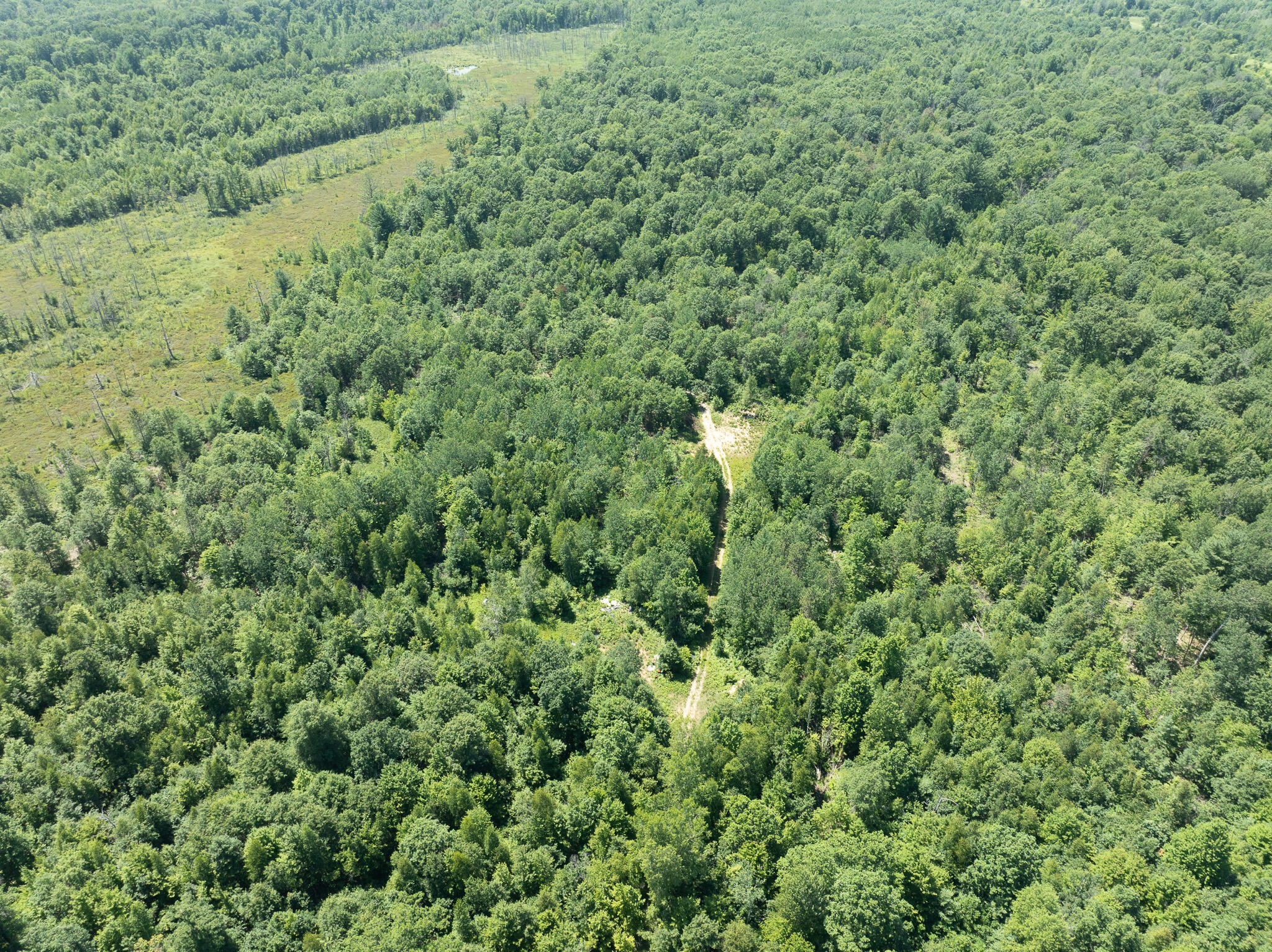 DJI_0659