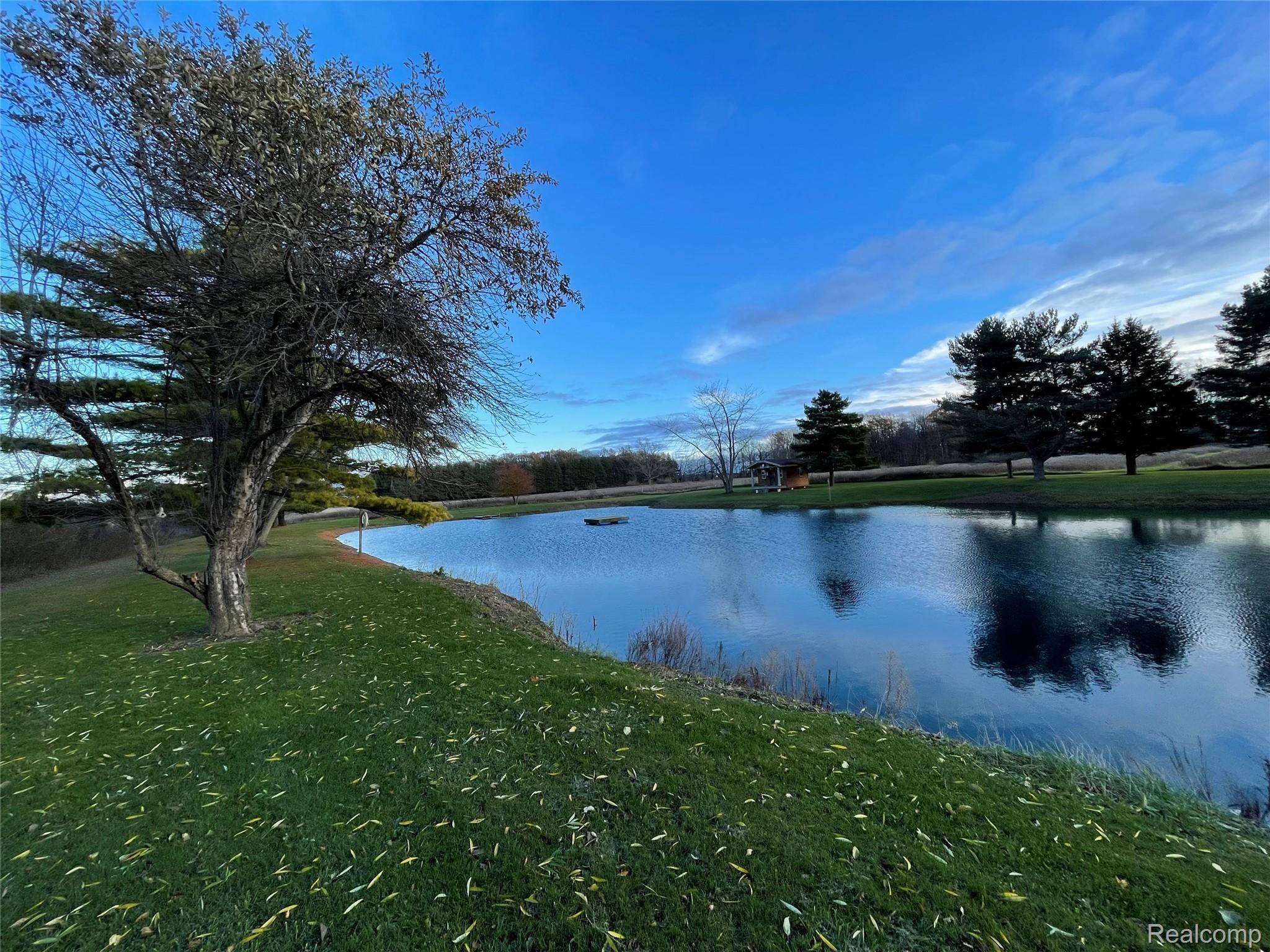 8191 Oatman Road Avoca, MI 48006 - Photo 17 of 55 8191 Oatman Pond.jpg