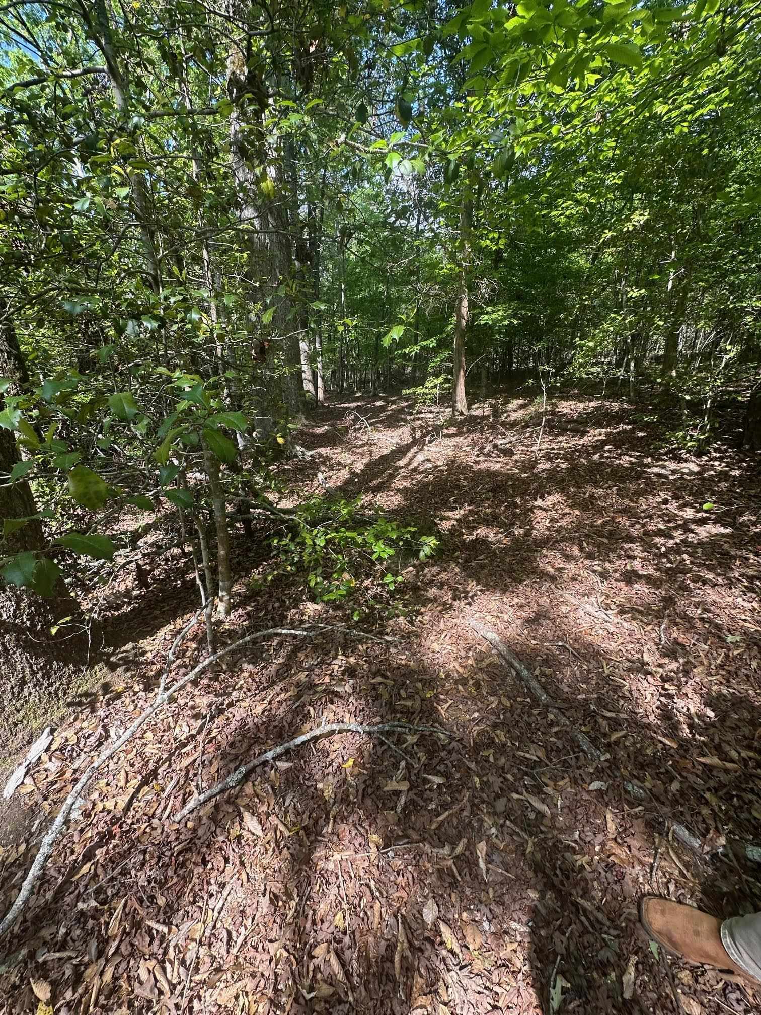 417 Wilkie Bridge Road Inman, SC 29349 - Photo 17 of 26
