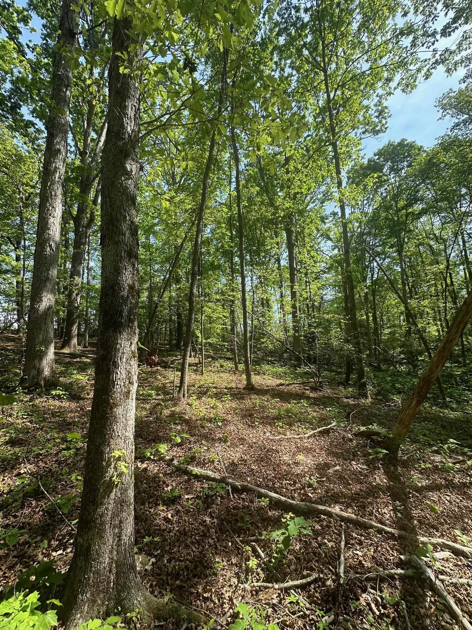 417 Wilkie Bridge Road Inman, SC 29349 - Photo 20 of 26