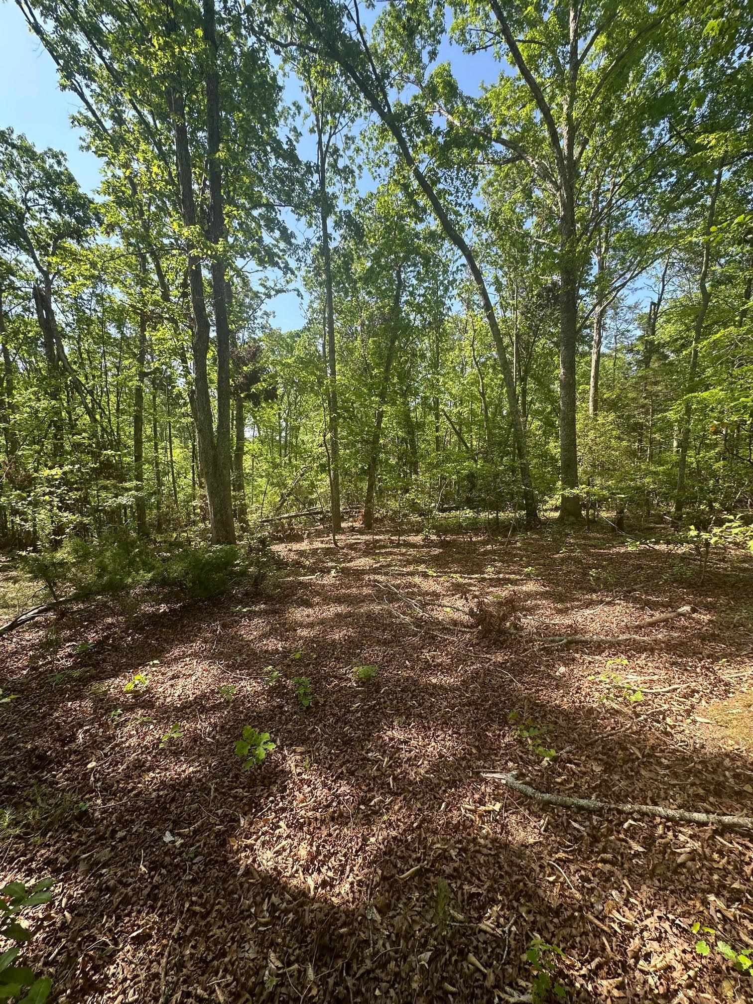 417 Wilkie Bridge Road Inman, SC 29349 - Photo 22 of 26