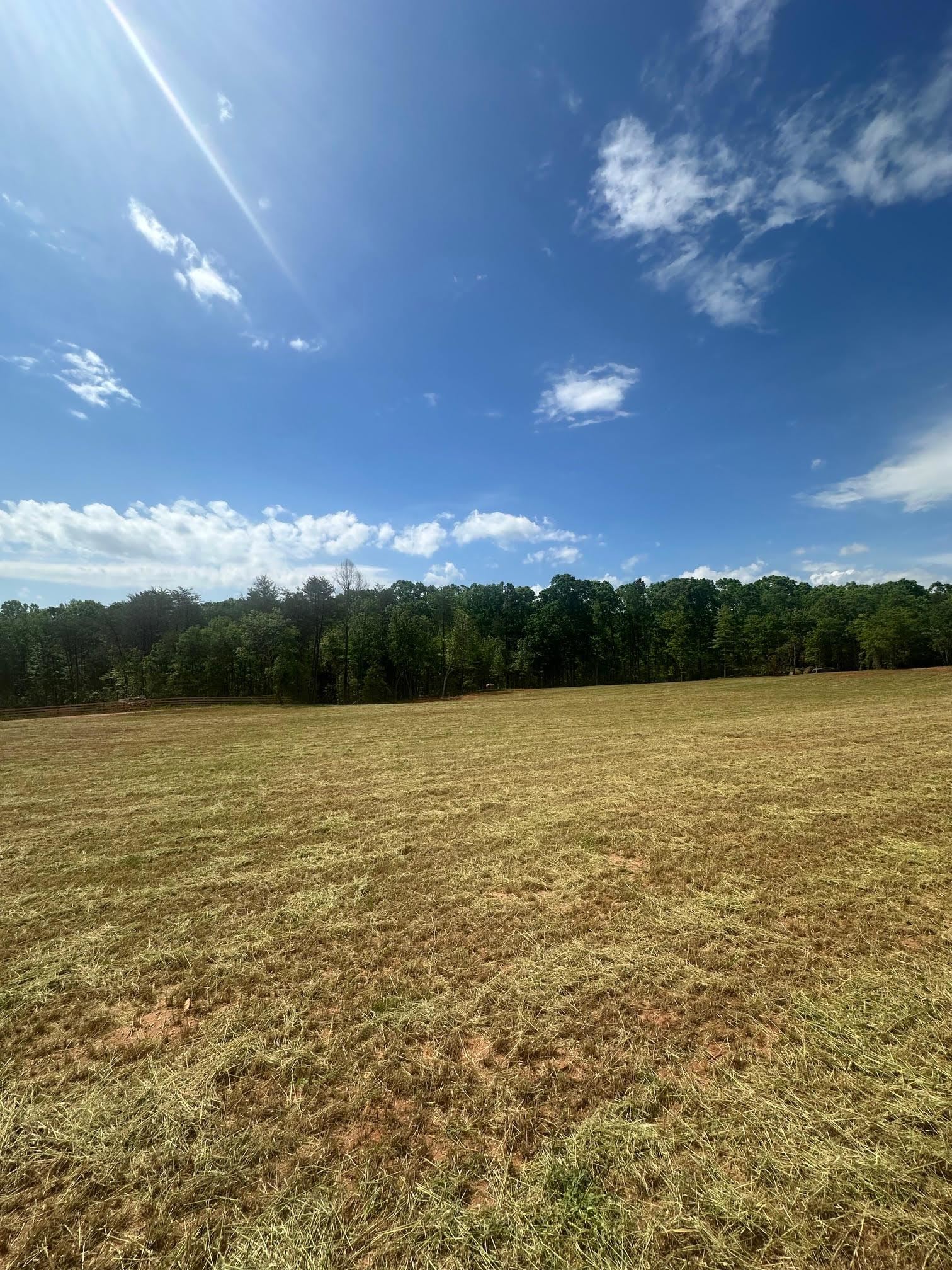 417 Wilkie Bridge Road Inman, SC 29349 - Photo 3 of 26