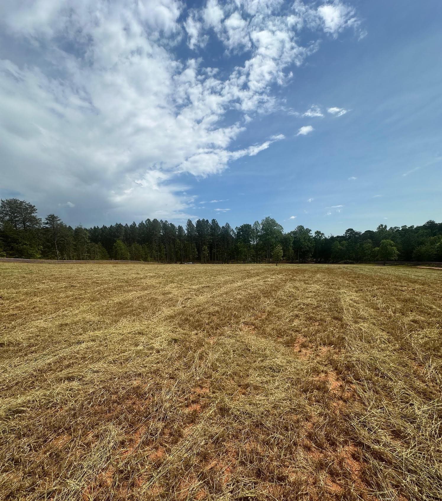417 Wilkie Bridge Road Inman, SC 29349 - Photo 5 of 26