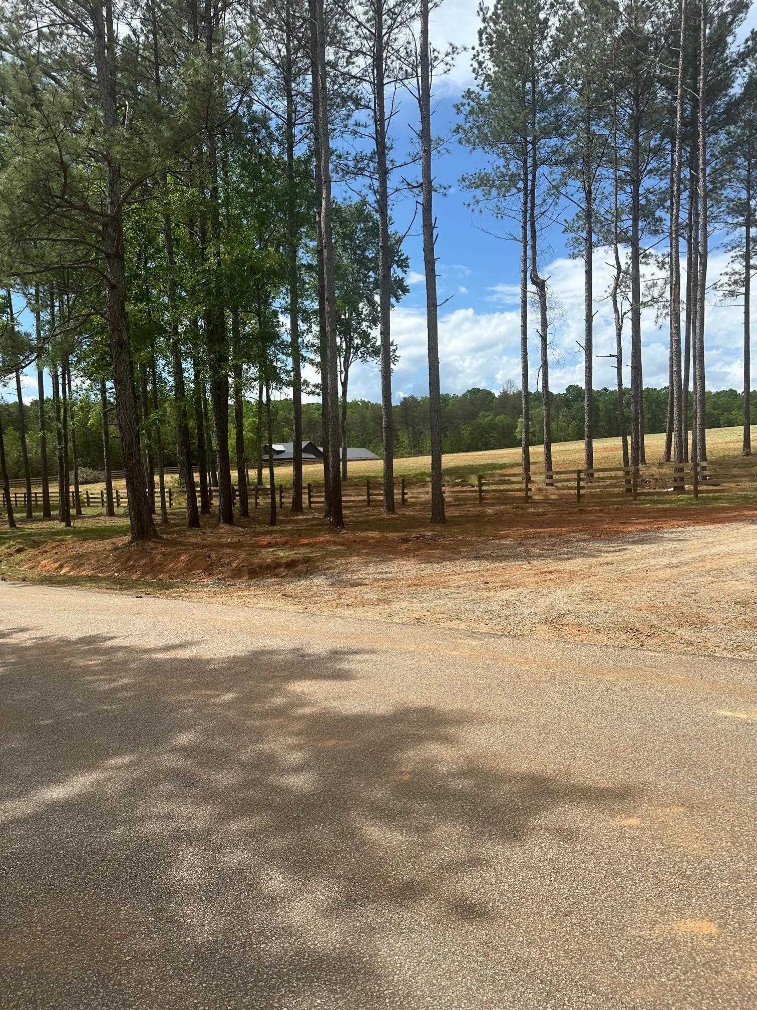 417 Wilkie Bridge Road Inman, SC 29349 - Photo 7 of 26