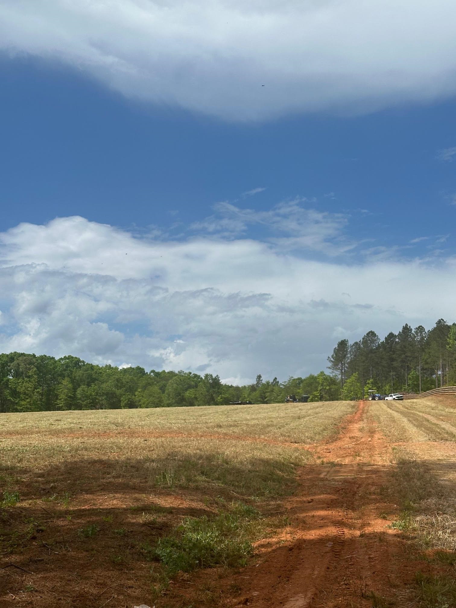 417 Wilkie Bridge Road Inman, SC 29349 - Photo 8 of 26