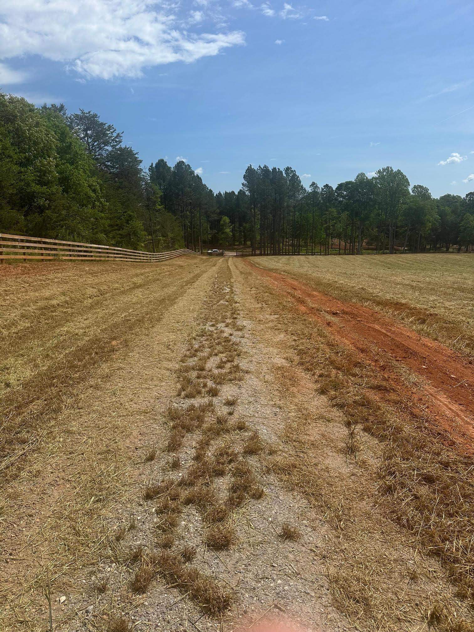 417 Wilkie Bridge Road Inman, SC 29349 - Photo 9 of 26