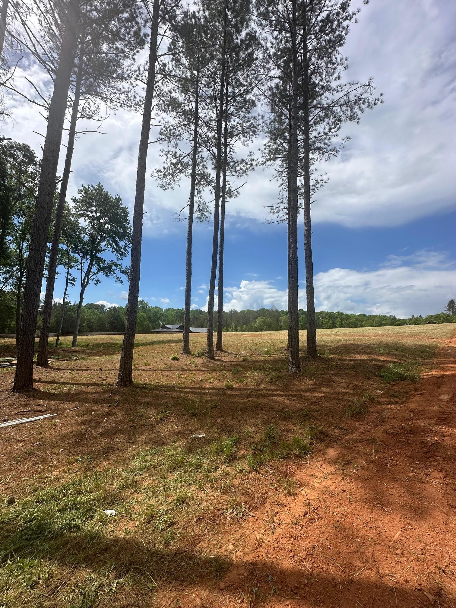 417 Wilkie Bridge Road Inman, SC 29349 - Photo 10 of 26