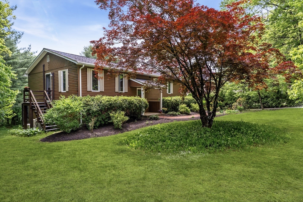 a front view of house with yard and green space