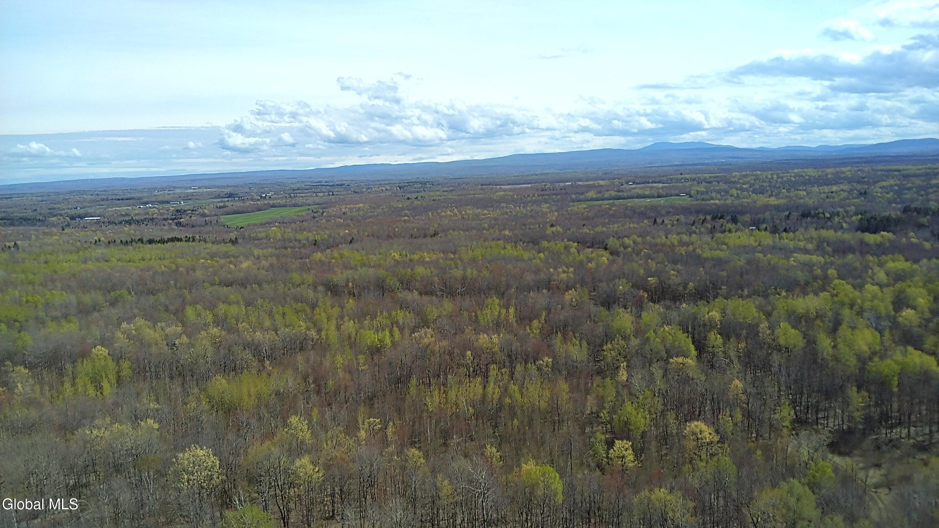 811 Drown Road Mooers, NY 12935 - Photo 13 of 42 IMG_4122