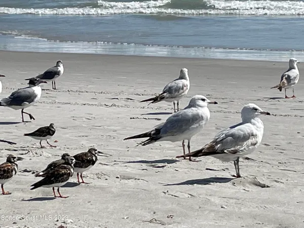 $2,495 | 2924 Pebble Creek Street, Melbourne, FL 32935