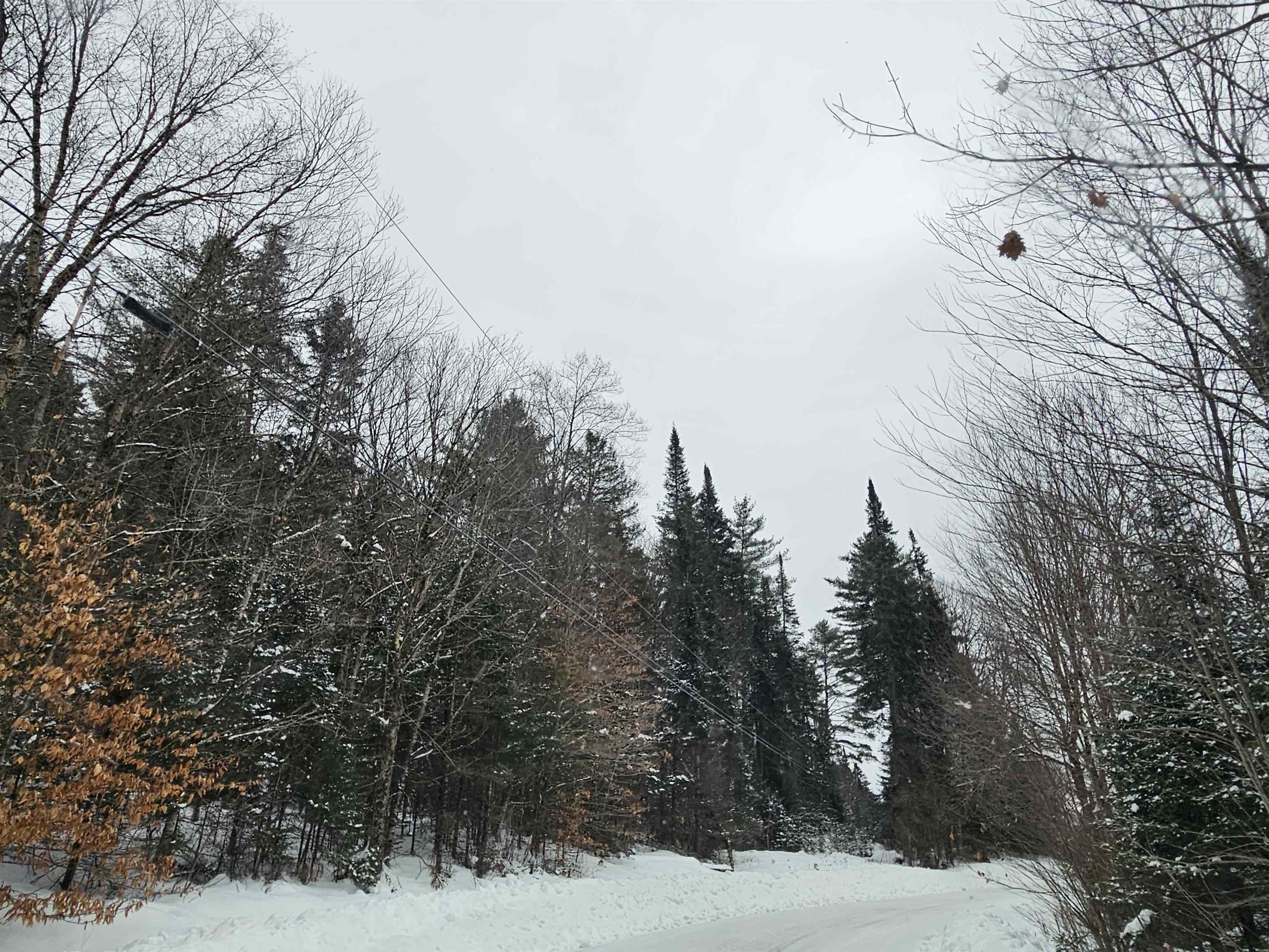 Lot 11 Brook Road Lyman, NH 03585 - Photo 12 of 19
