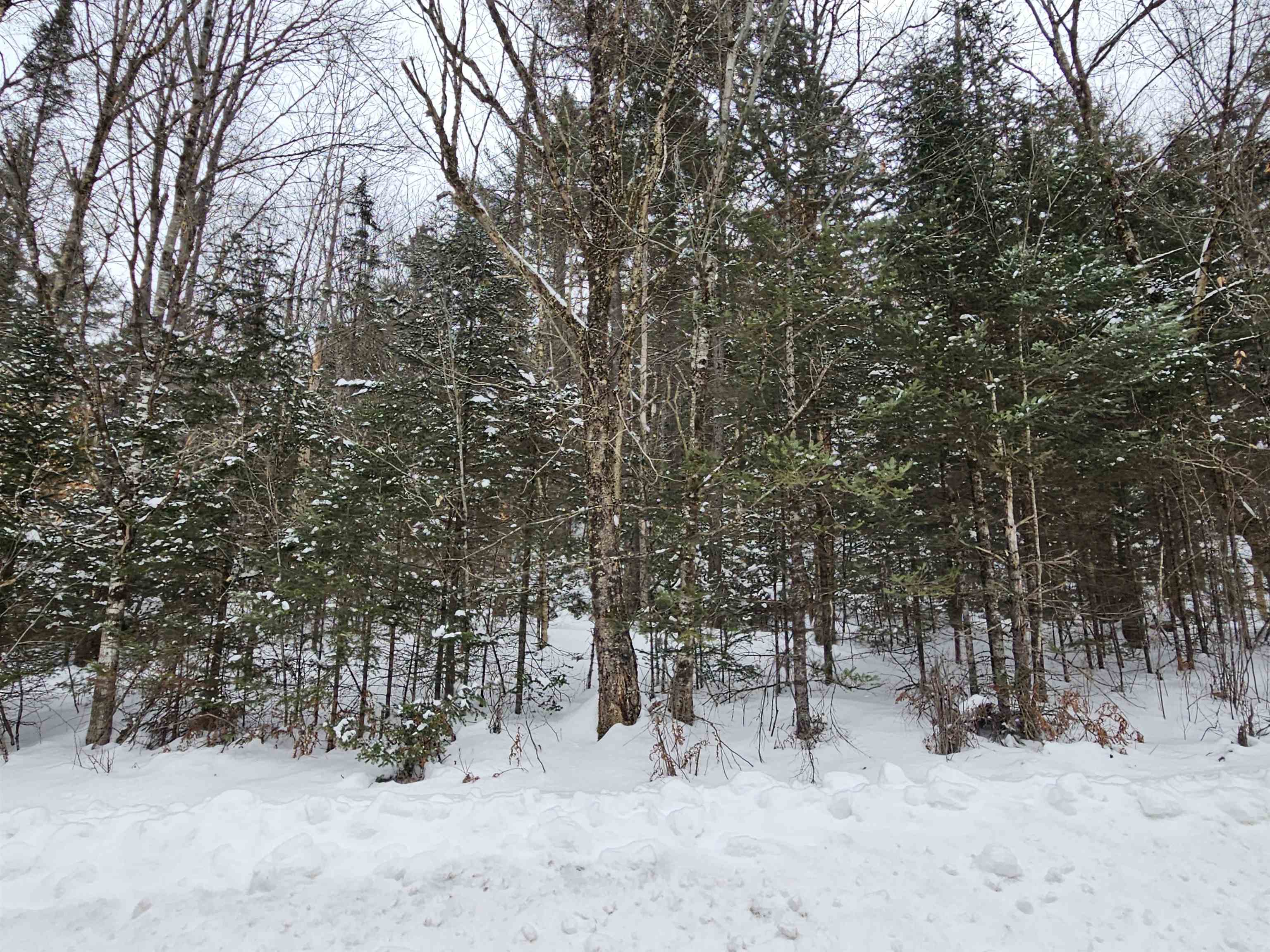 Lot 11 Brook Road Lyman, NH 03585 - Photo 13 of 19