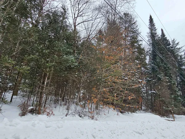 $135,000 | Lot 11 Brook Road, Lyman, NH 03585