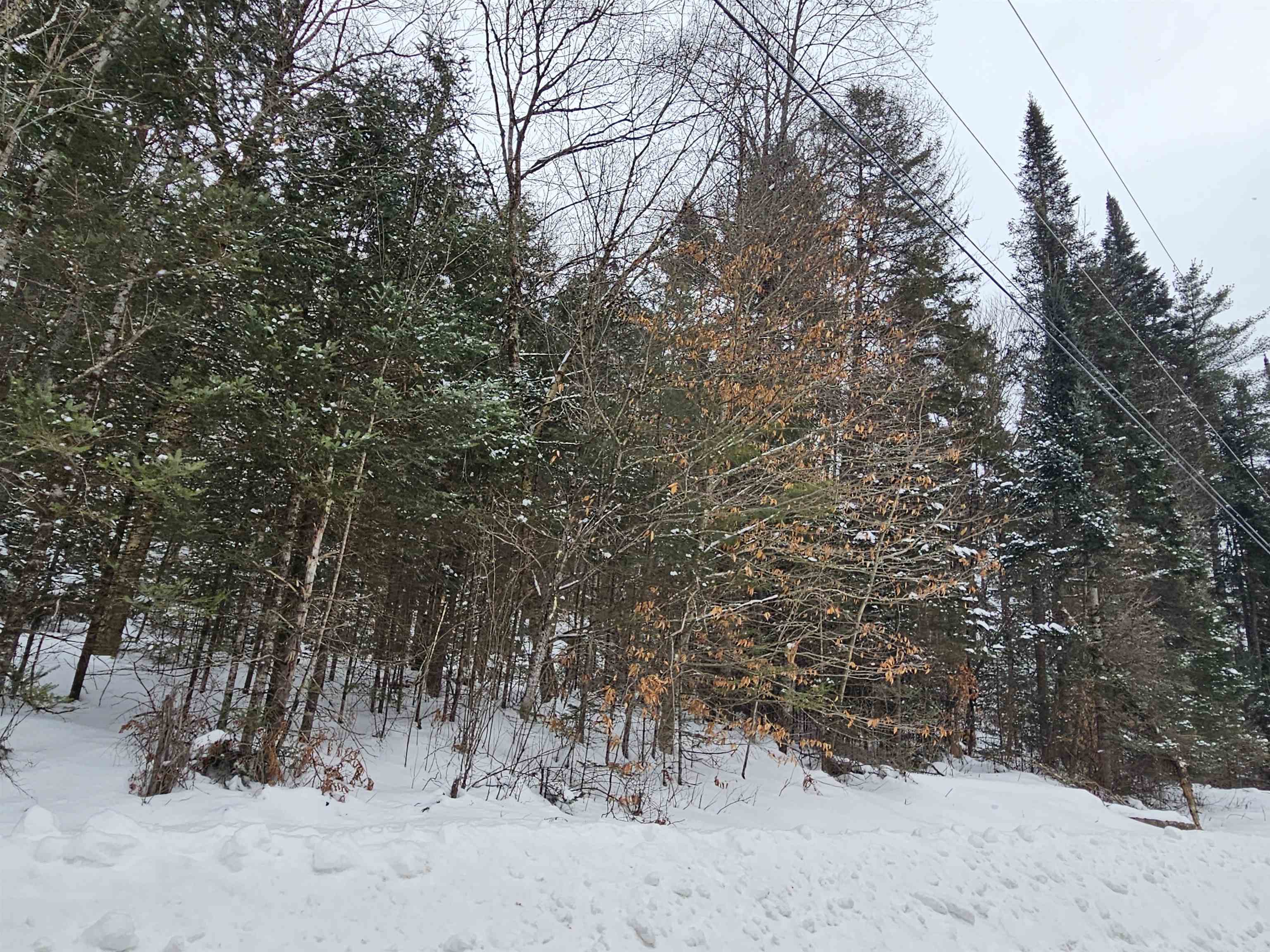 Lot 11 Brook Road Lyman, NH 03585 - Photo 14 of 19