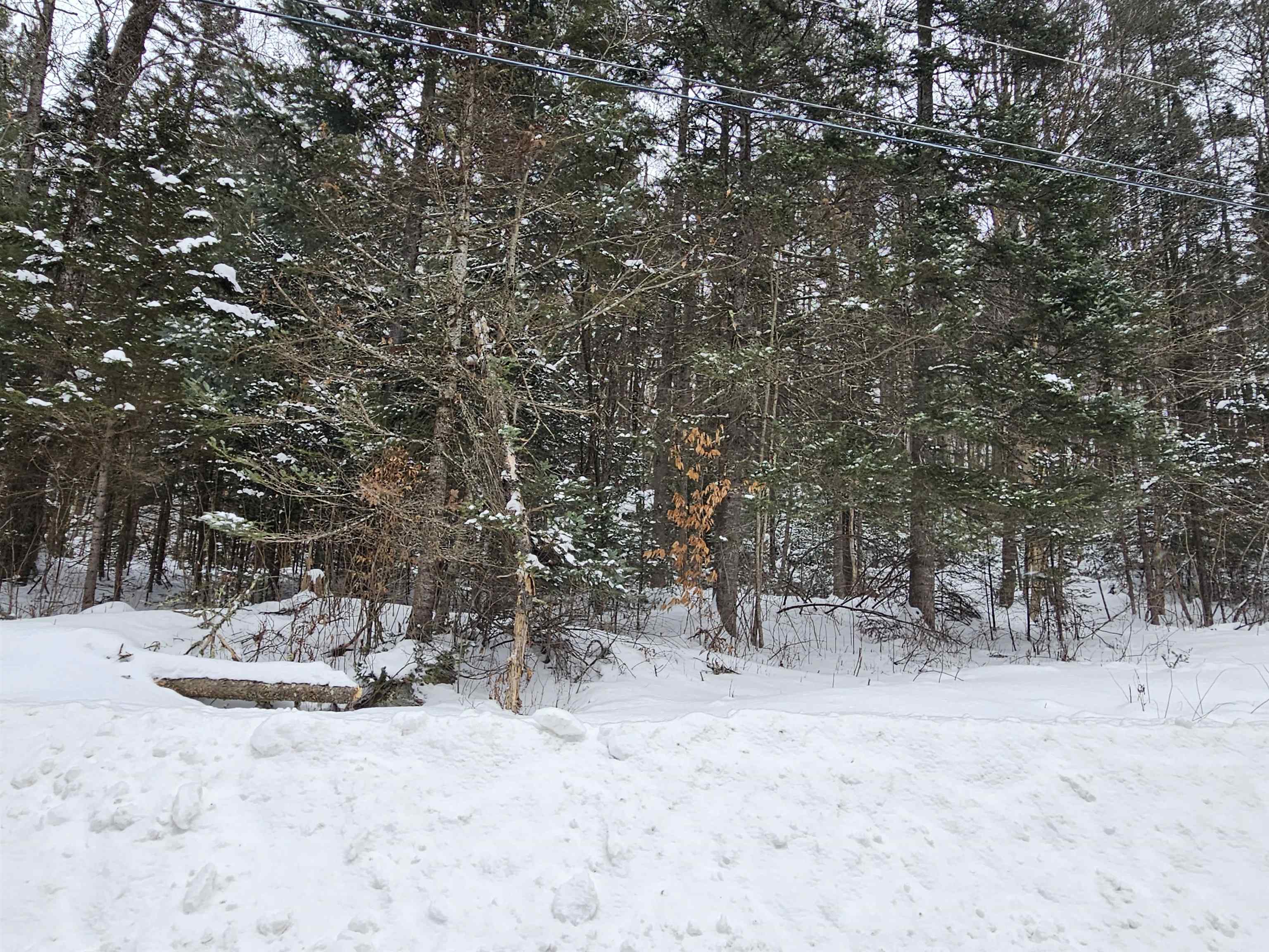 Lot 11 Brook Road Lyman, NH 03585 - Photo 15 of 19