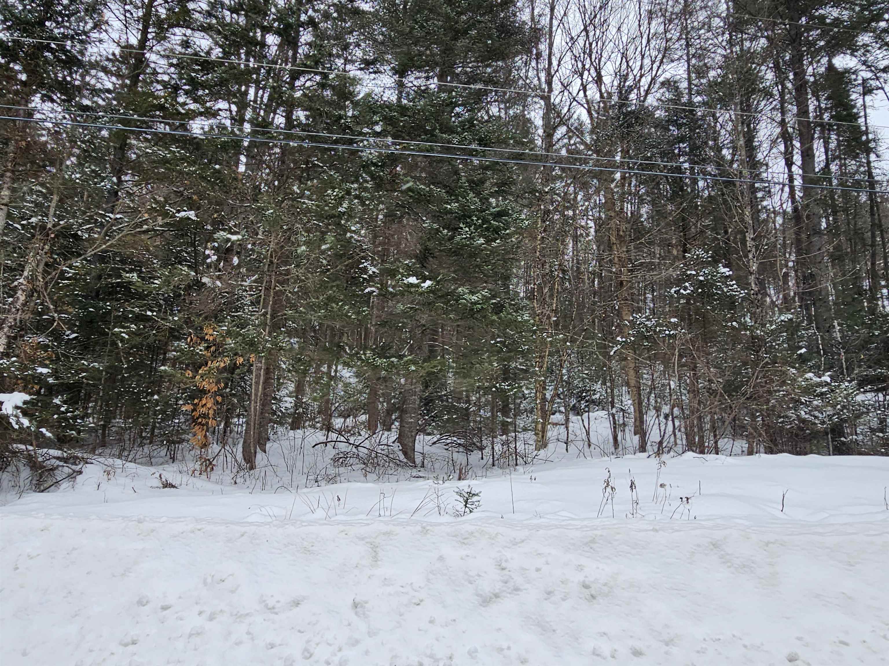 Lot 11 Brook Road Lyman, NH 03585 - Photo 16 of 19