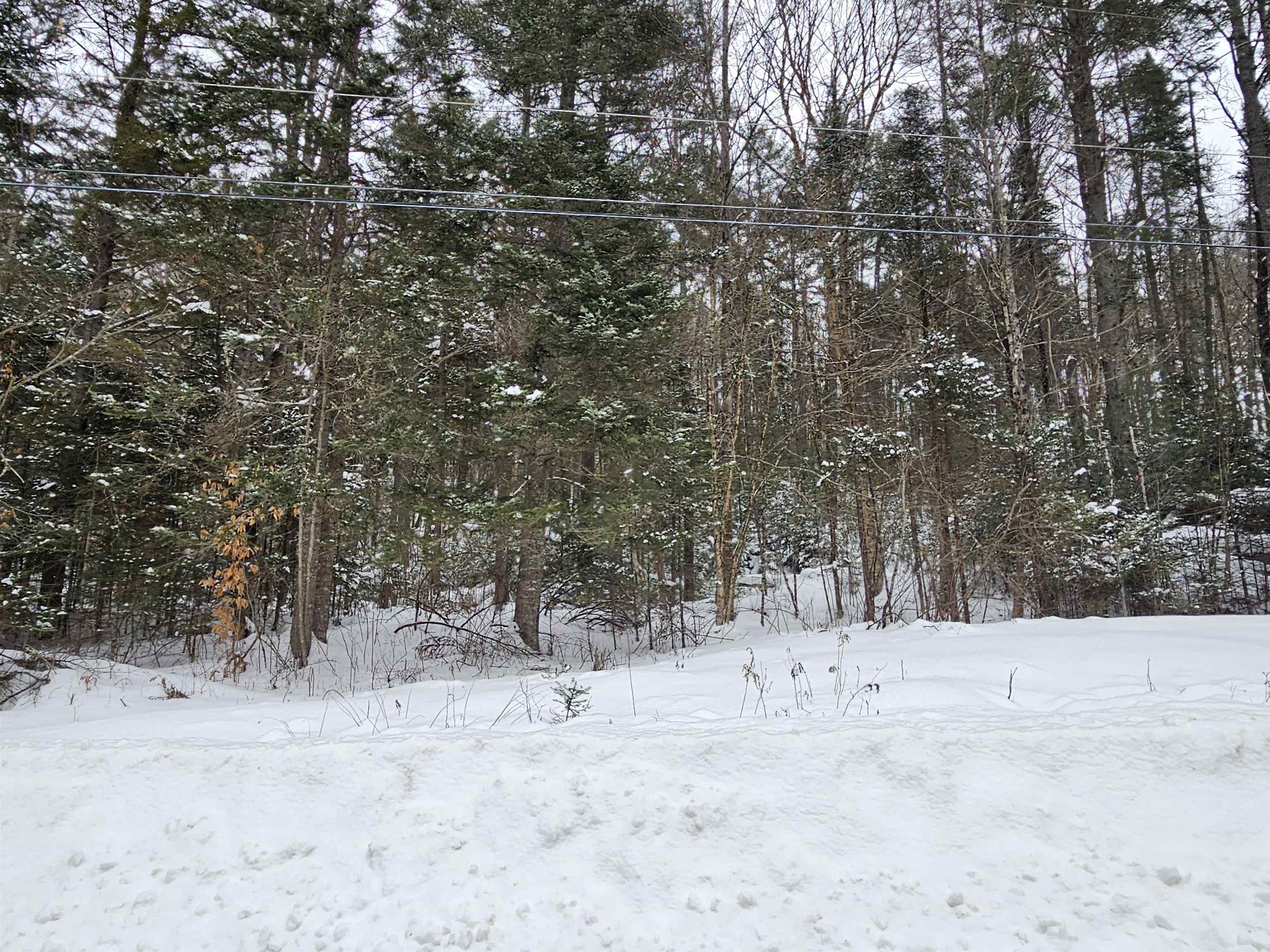 Lot 11 Brook Road Lyman, NH 03585 - Photo 17 of 19