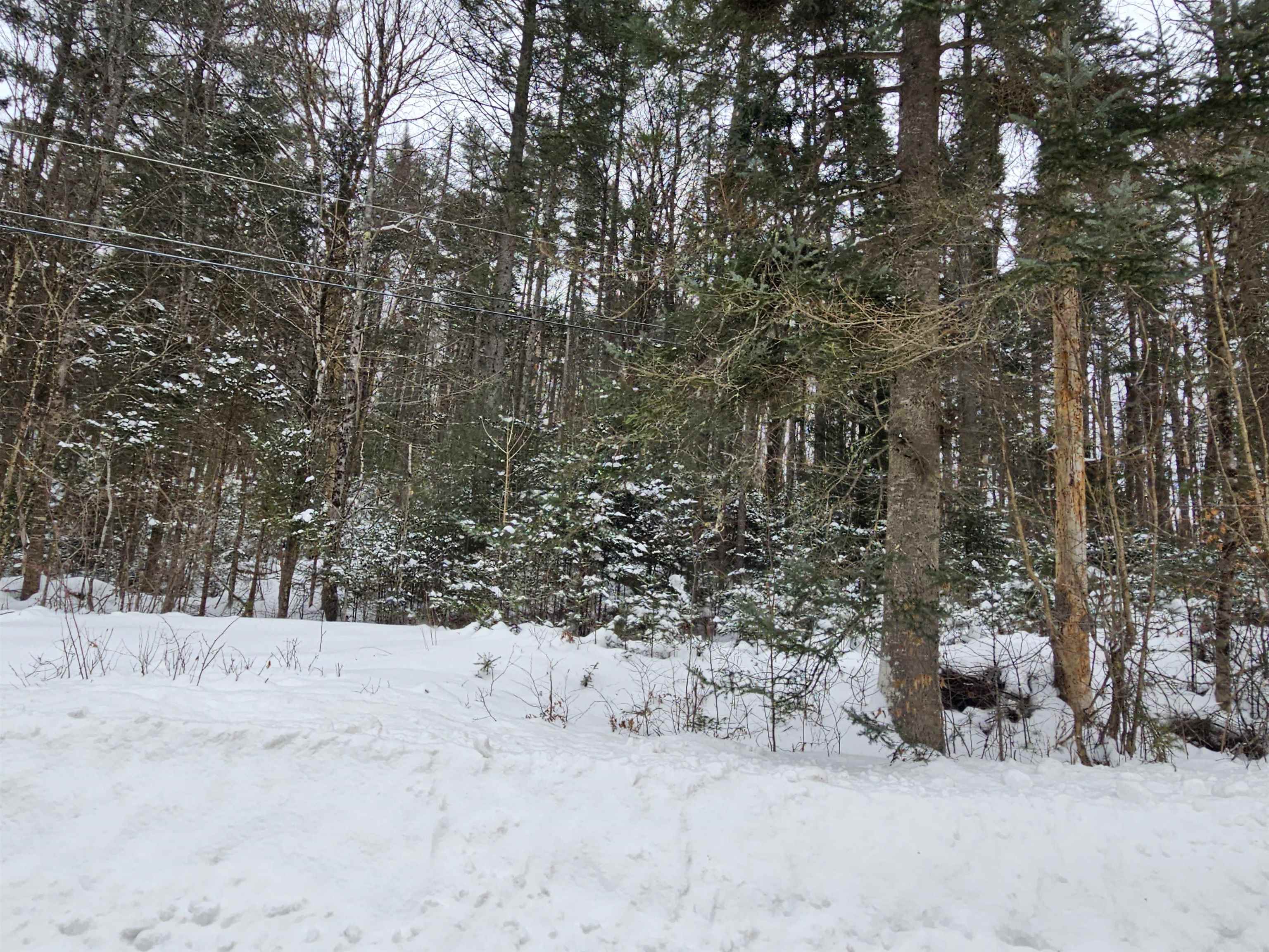 Lot 11 Brook Road Lyman, NH 03585 - Photo 18 of 19