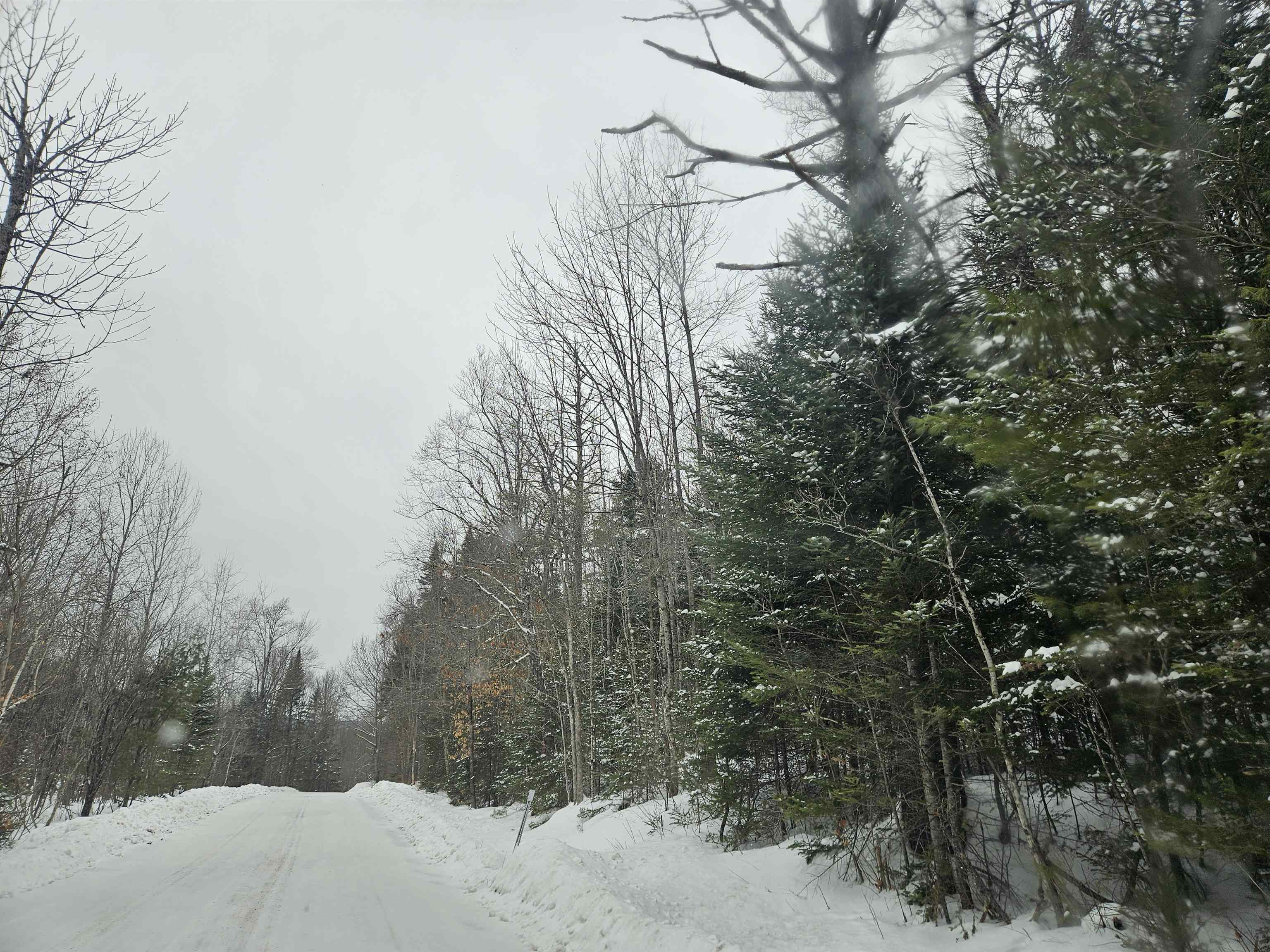 Lot 11 Brook Road Lyman, NH 03585 - Photo 4 of 19