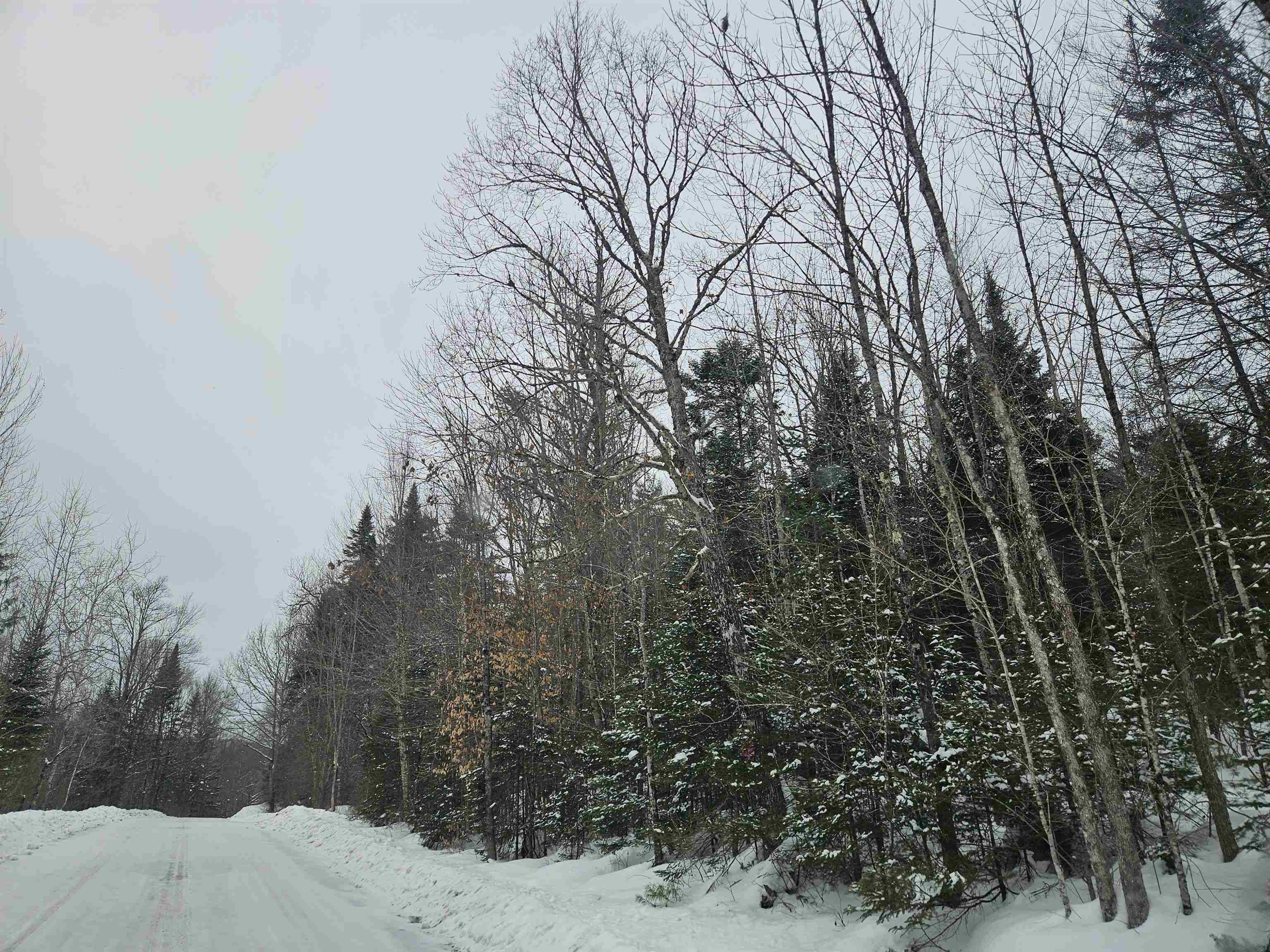 Lot 11 Brook Road Lyman, NH 03585 - Photo 5 of 19