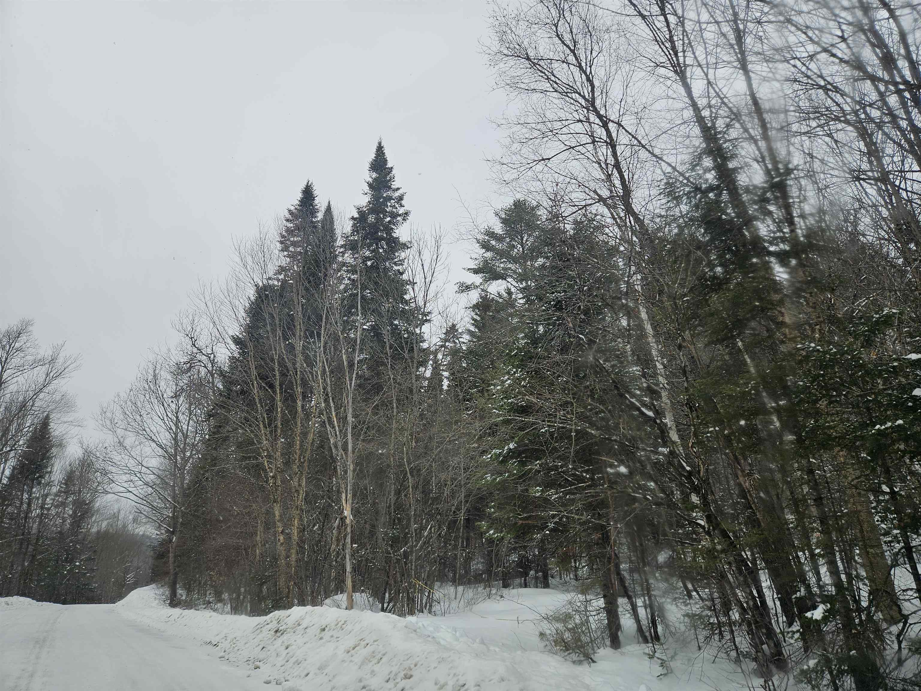 Lot 11 Brook Road Lyman, NH 03585 - Photo 6 of 19