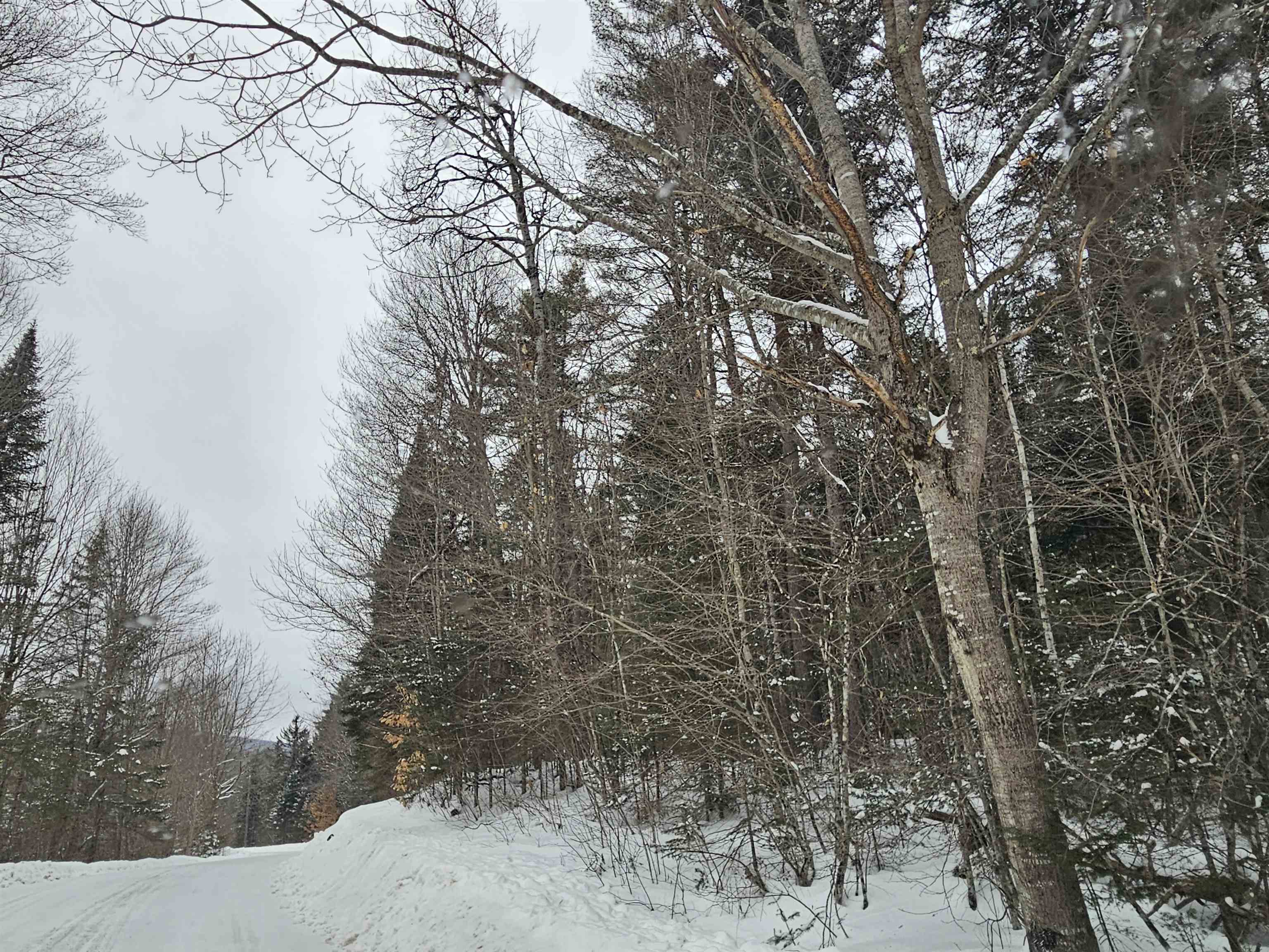 Lot 11 Brook Road Lyman, NH 03585 - Photo 7 of 19