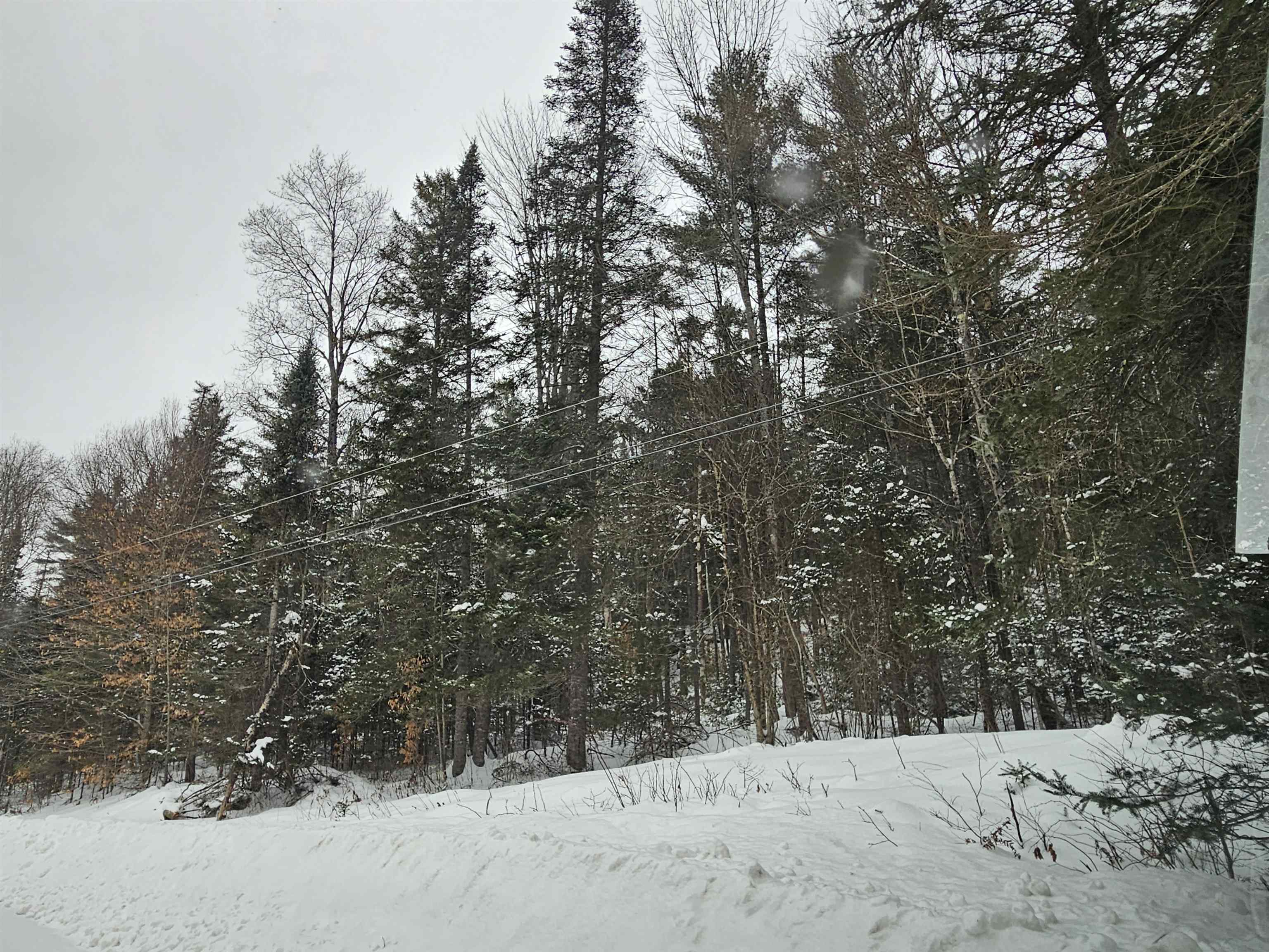 Lot 11 Brook Road Lyman, NH 03585 - Photo 8 of 19