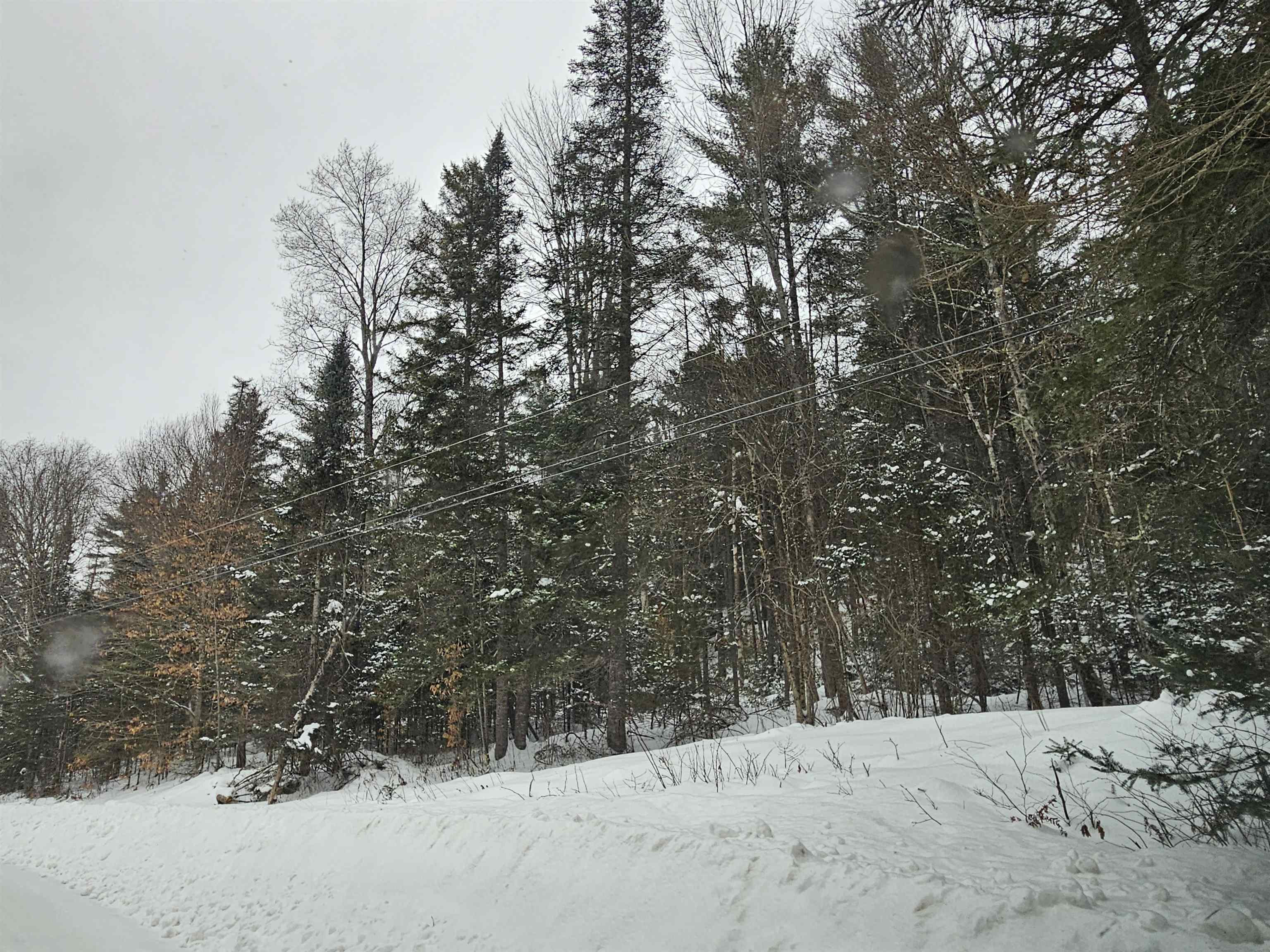 Lot 11 Brook Road Lyman, NH 03585 - Photo 9 of 19