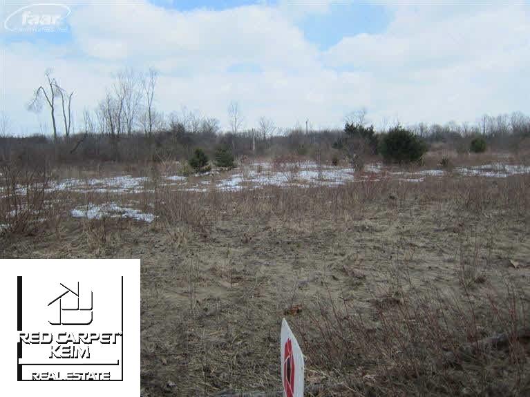 0 North Irish Road Davison, MI 48423 - Photo 1 of 1 20395736.JPG