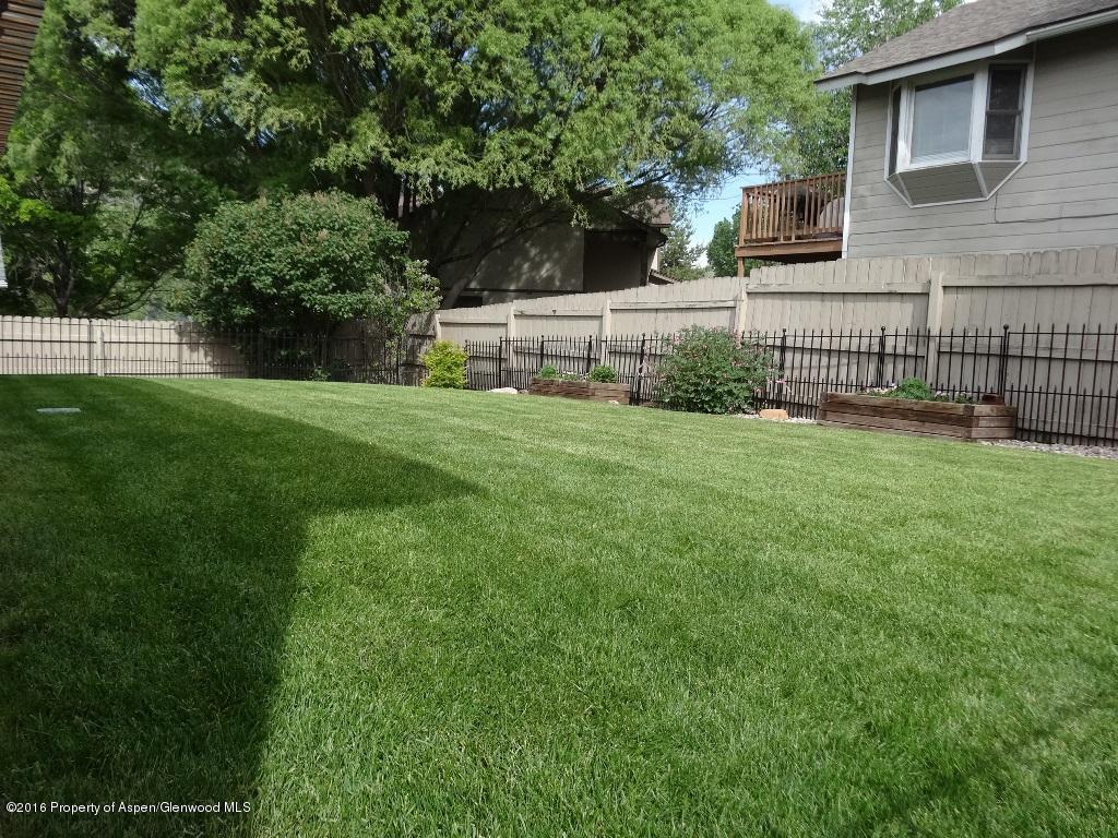 614 Ginseng Road New Castle, CO 81647 - Photo 13 of 14 lush yard