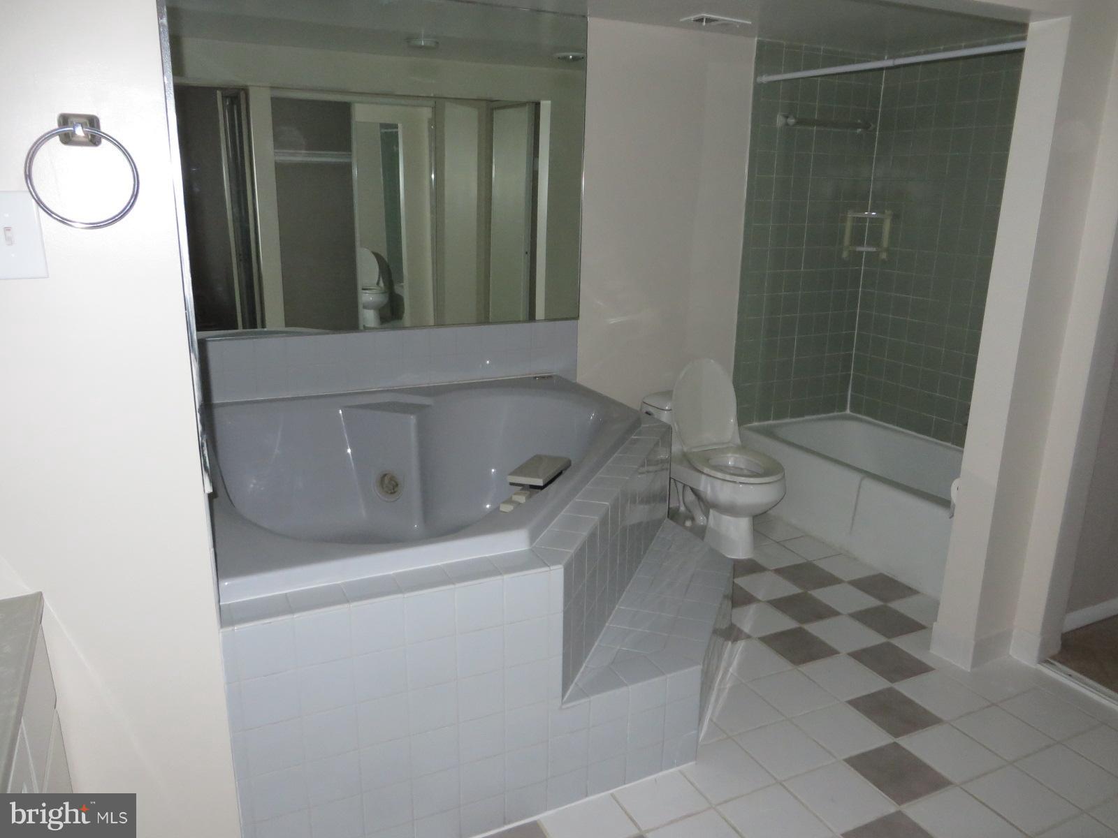 1515 South Arlington Ridge Road, Unit 703 Arlington, VA 22202 - Photo 6 of 28 Bath (Master)
