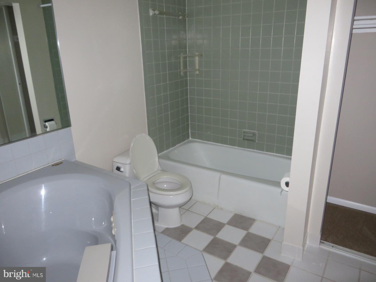1515 South Arlington Ridge Road, Unit 703 Arlington, VA 22202 - Photo 8 of 28 Bath (Master)